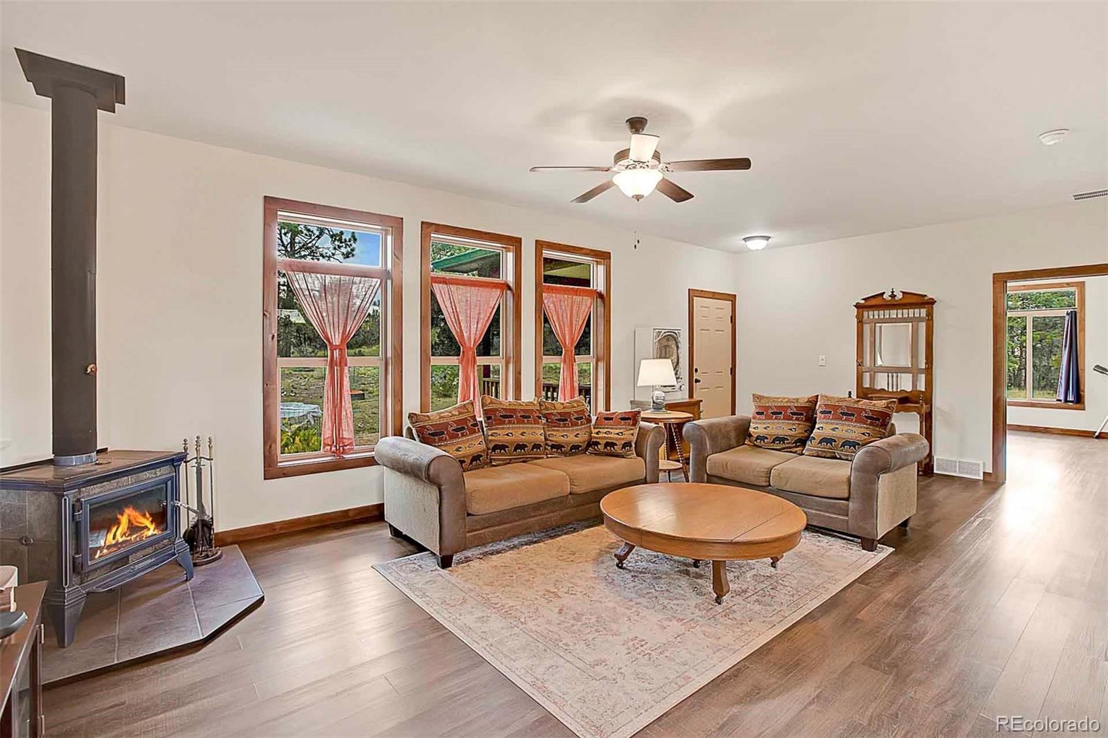 MLS Image #6 for 496  julia road,guffey, Colorado