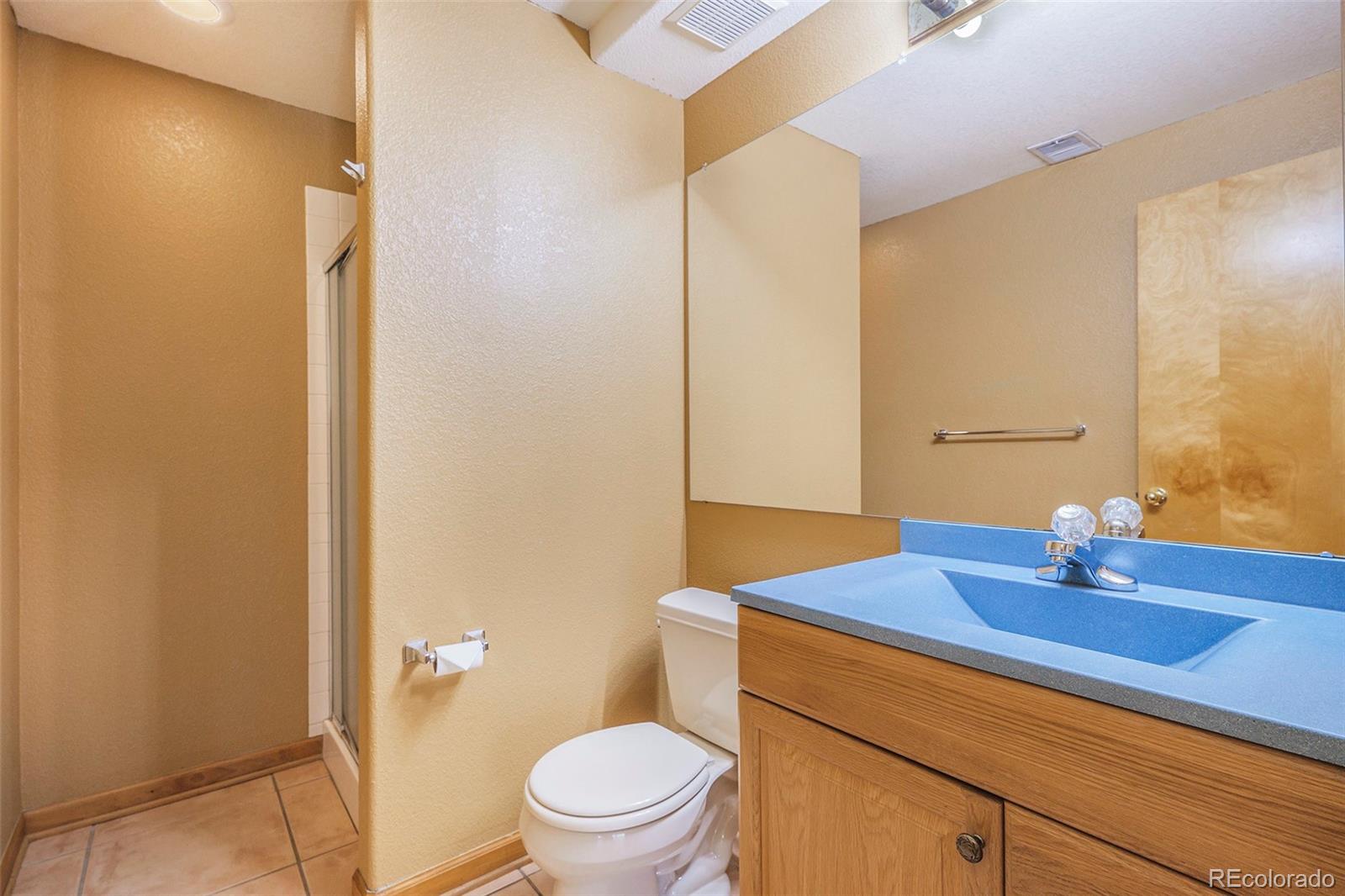 MLS Image #21 for 4521 n diamond leaf drive,castle rock, Colorado