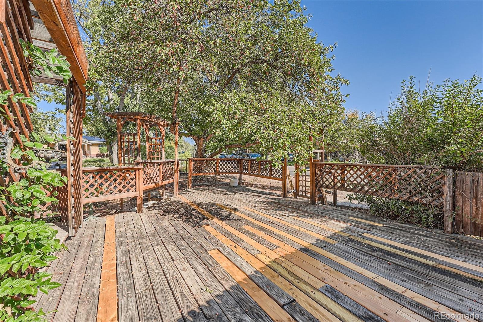 MLS Image #24 for 6555  upham street,arvada, Colorado