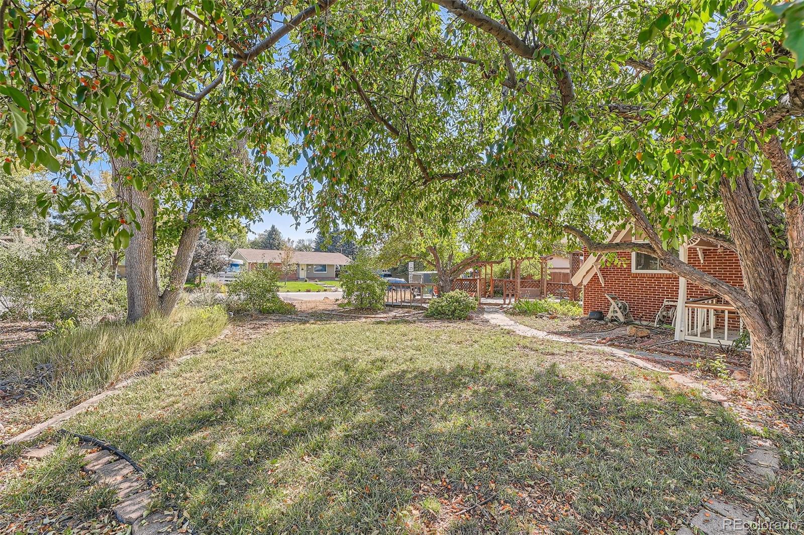 MLS Image #25 for 6555  upham street,arvada, Colorado