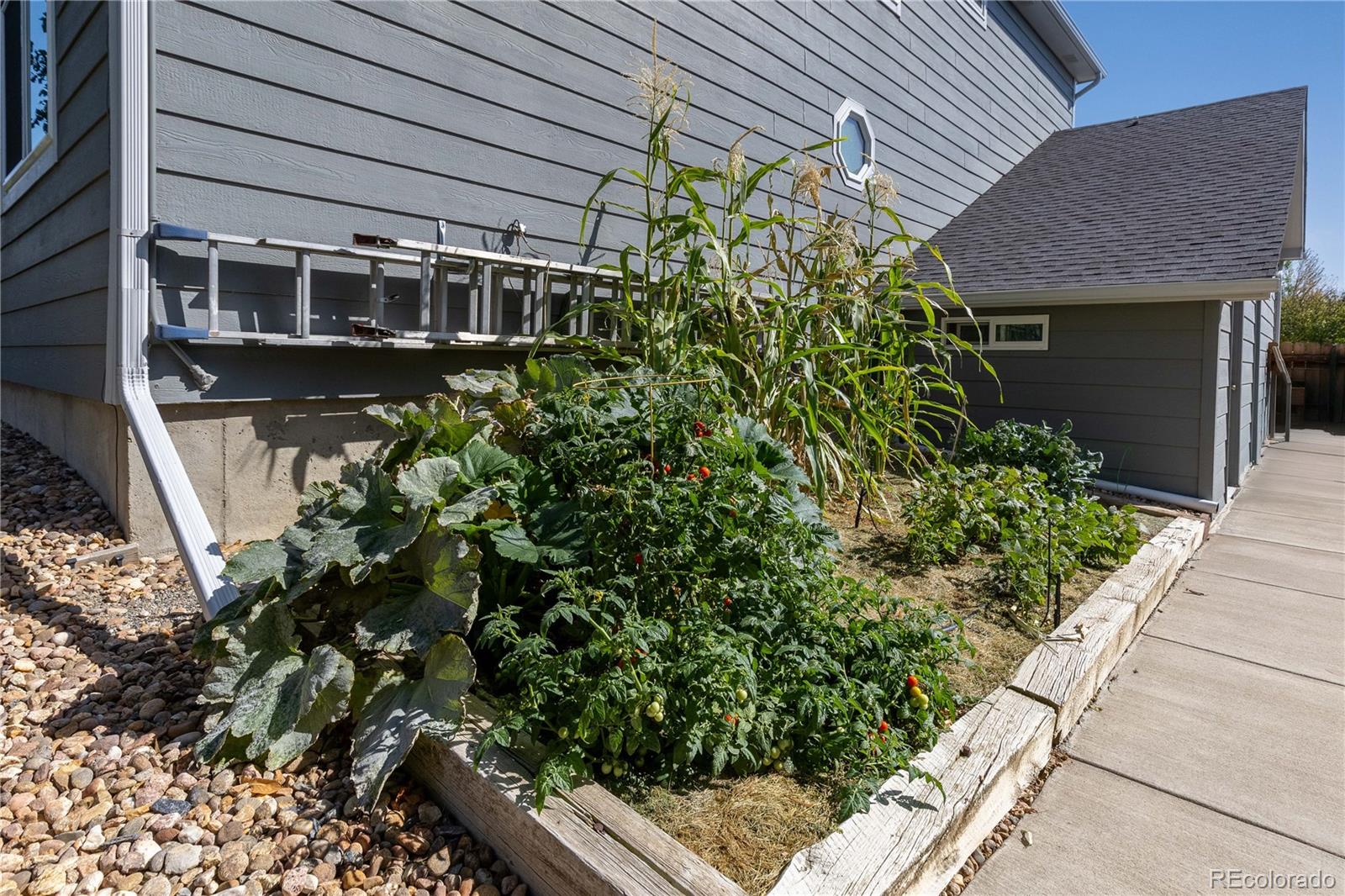 MLS Image #37 for 13995  eudora street,thornton, Colorado