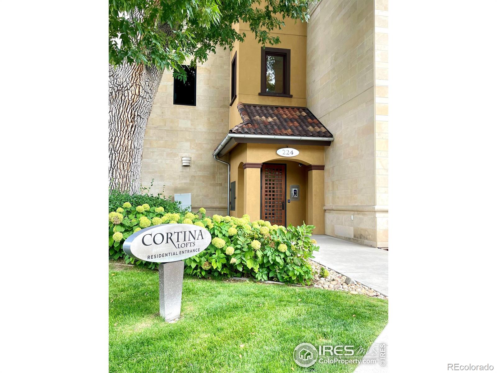 MLS Image #0 for 224  canyon avenue,fort collins, Colorado