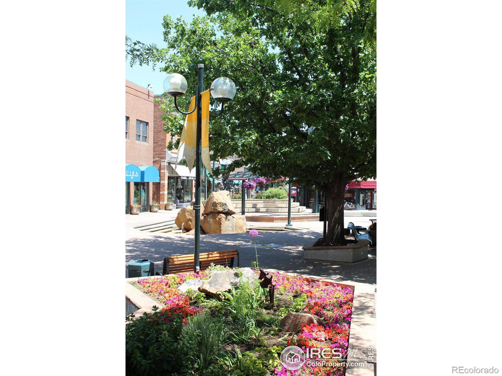 MLS Image #31 for 224  canyon avenue,fort collins, Colorado