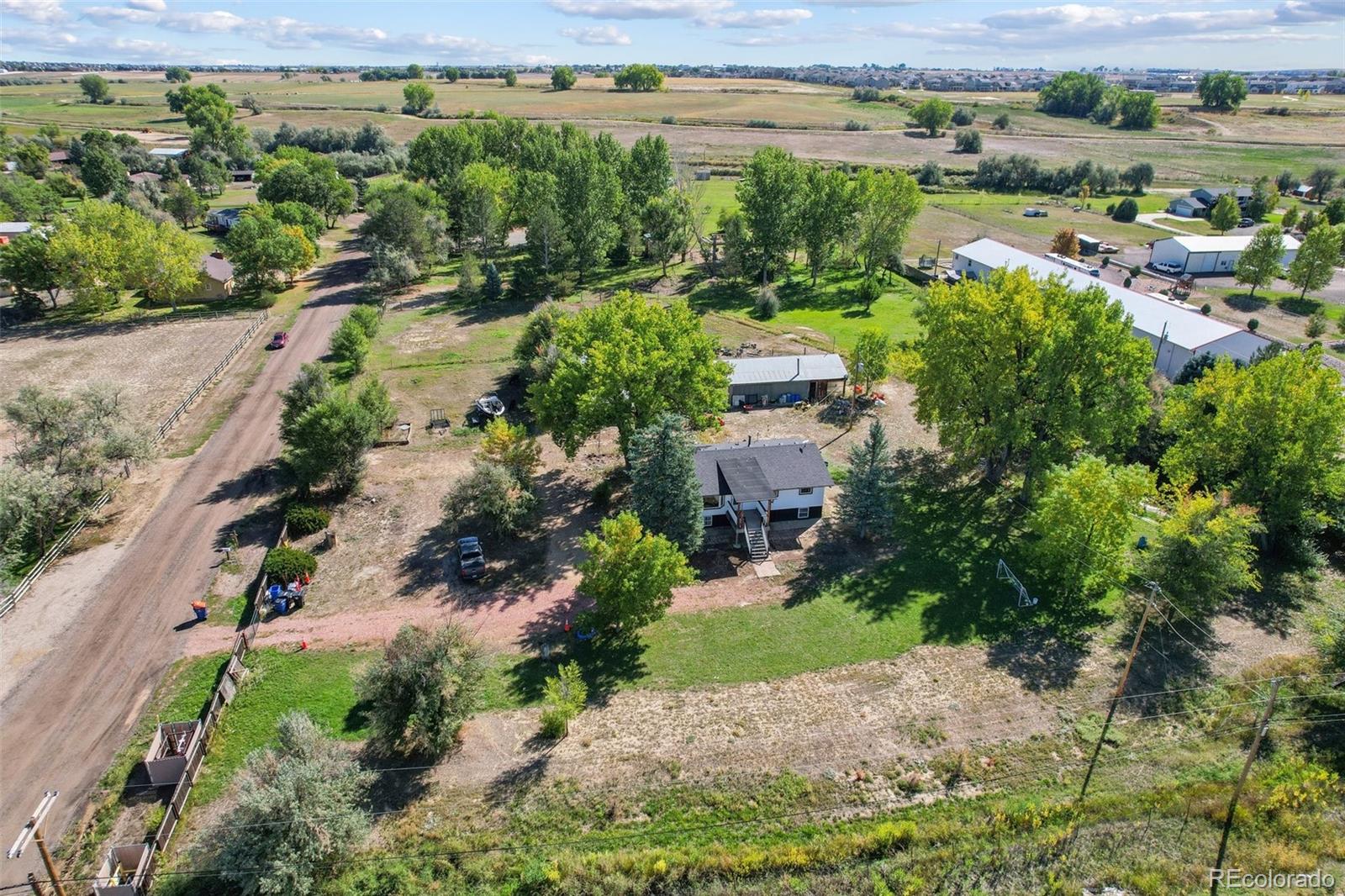 MLS Image #5 for 5142  buffalo road,erie, Colorado