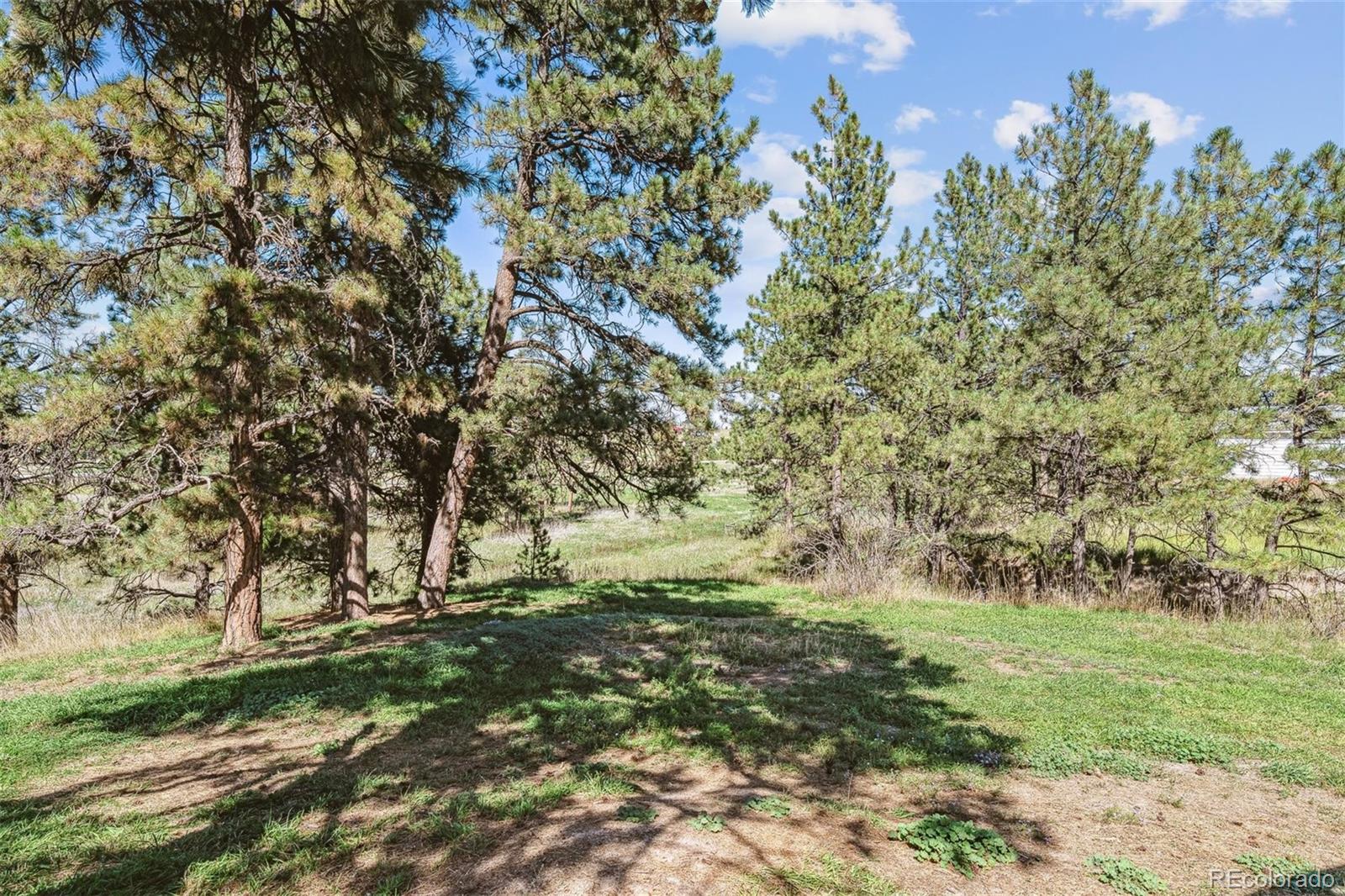 MLS Image #44 for 2113  pinto trail,elizabeth, Colorado