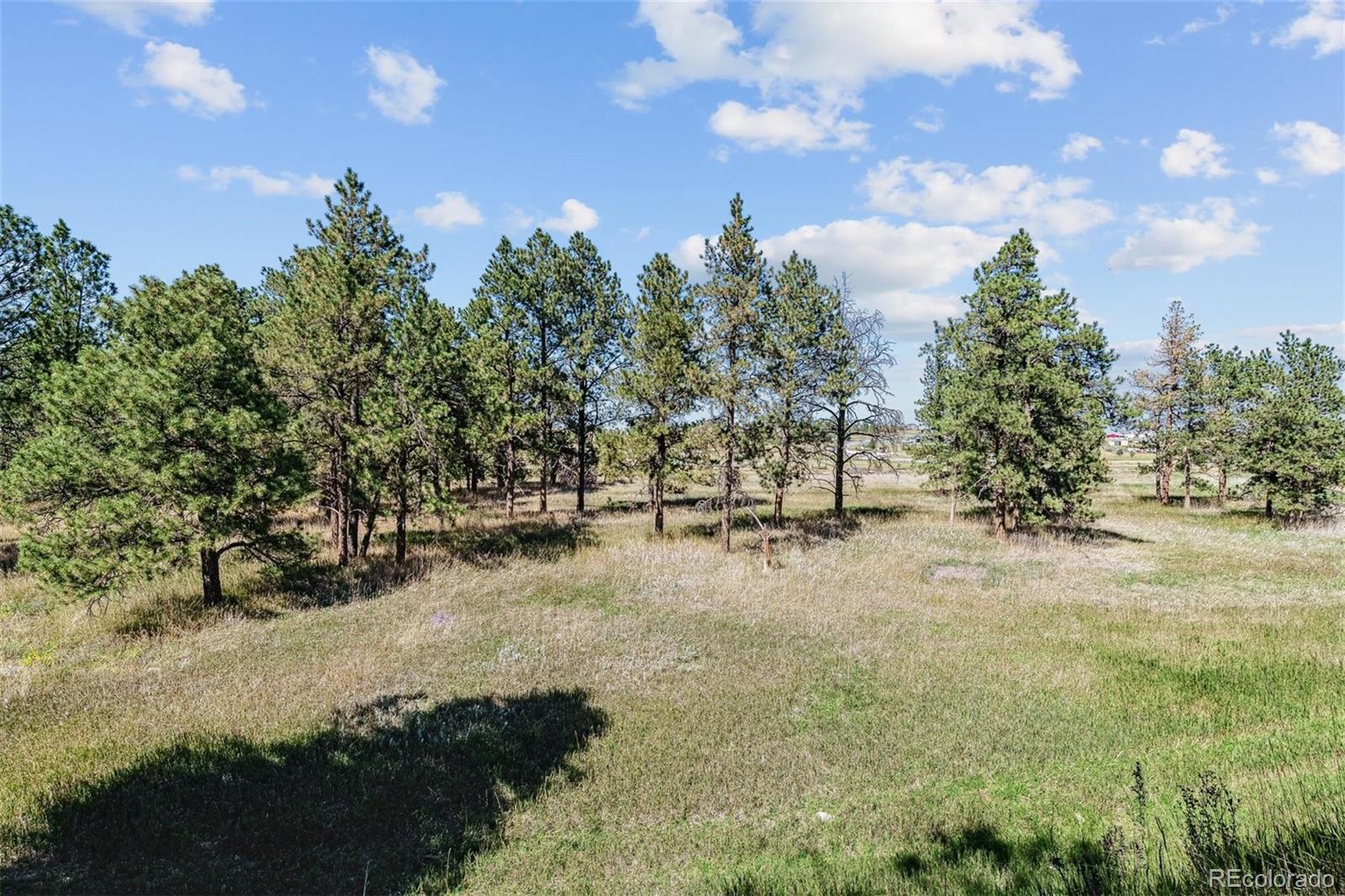 MLS Image #45 for 2113  pinto trail,elizabeth, Colorado