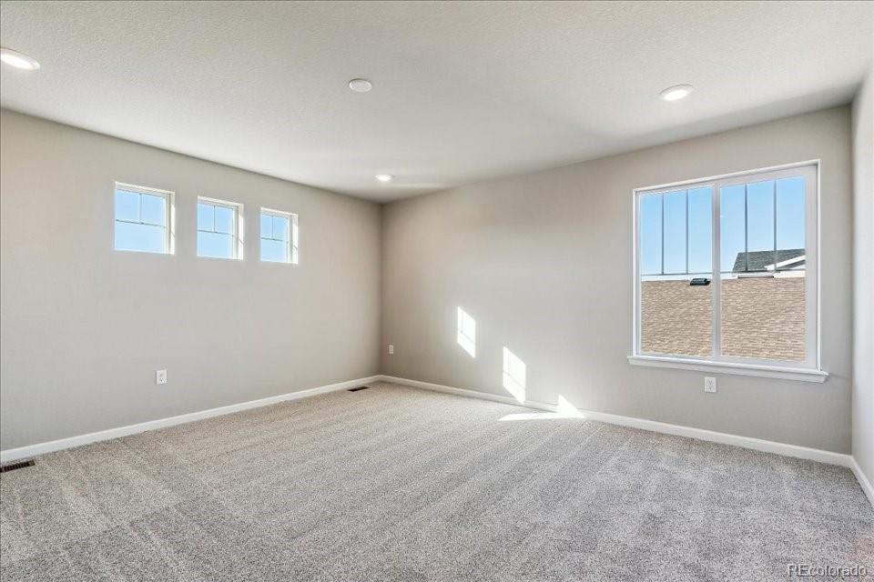 MLS Image #22 for 18155  martinello drive,parker, Colorado