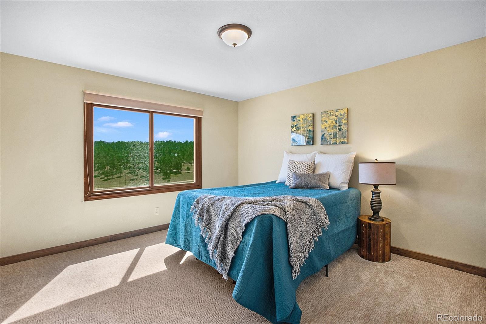 MLS Image #18 for 558 n deer mountain road,florissant, Colorado