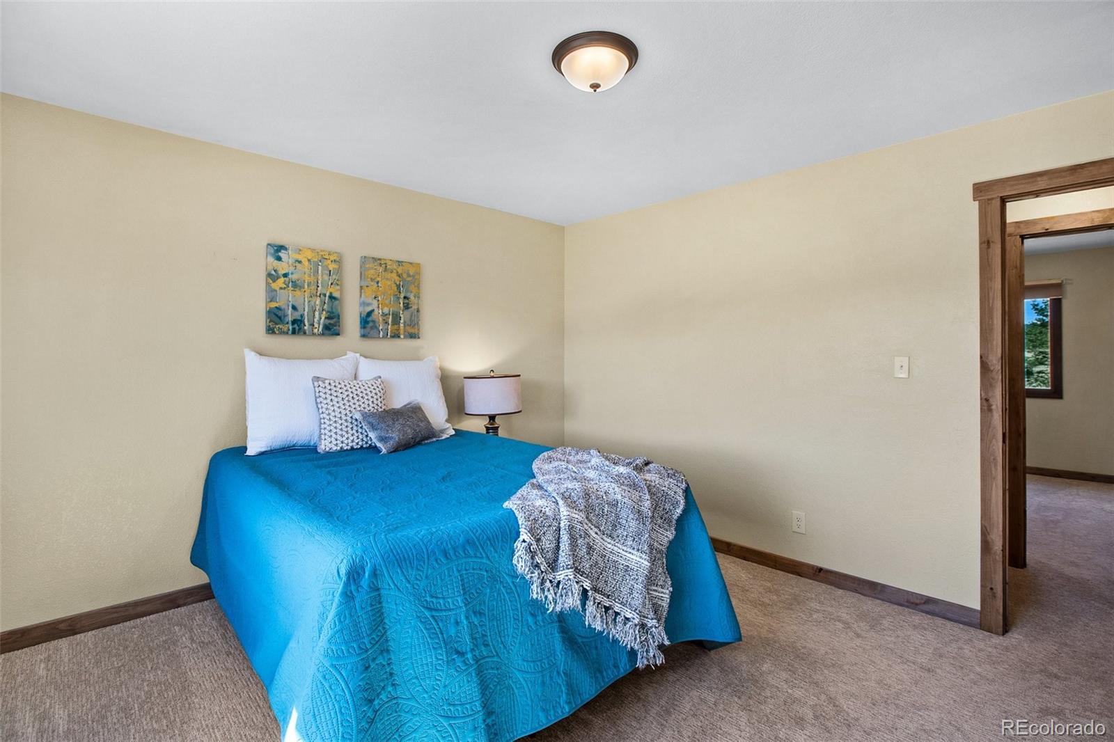 MLS Image #20 for 558 n deer mountain road,florissant, Colorado