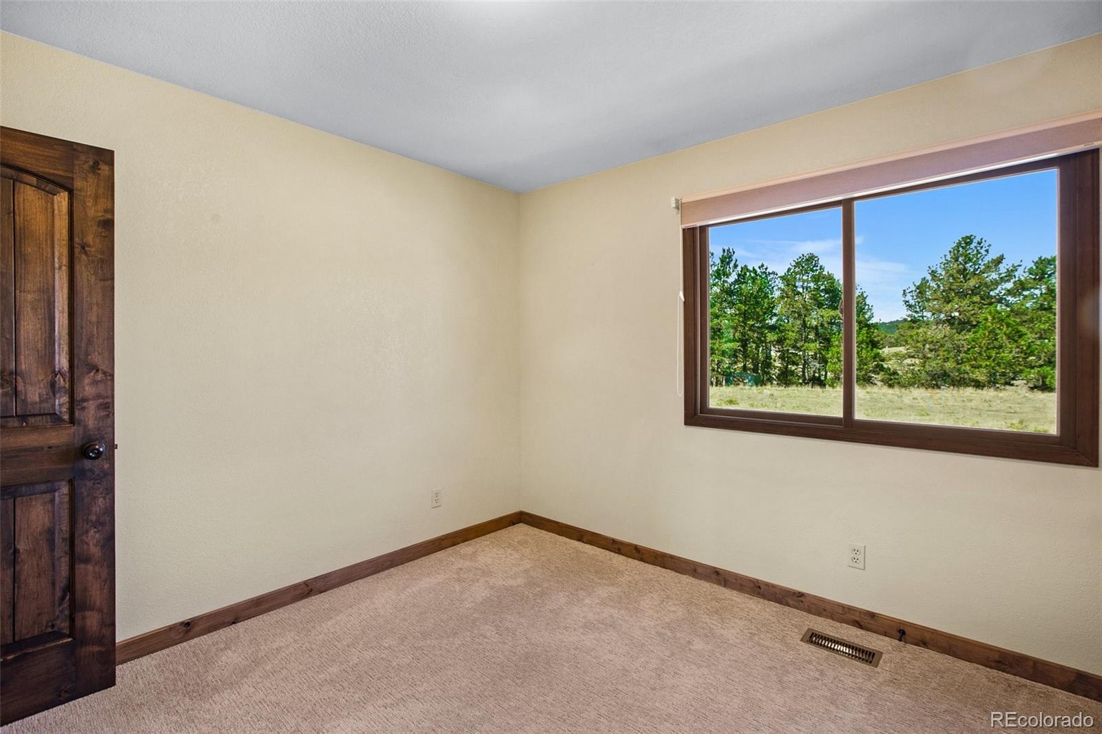 MLS Image #24 for 558 n deer mountain road,florissant, Colorado
