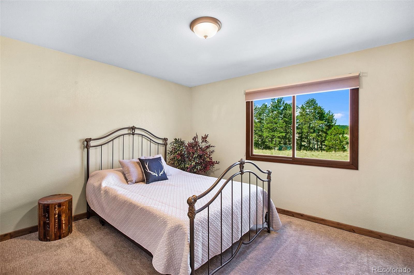MLS Image #26 for 558 n deer mountain road,florissant, Colorado