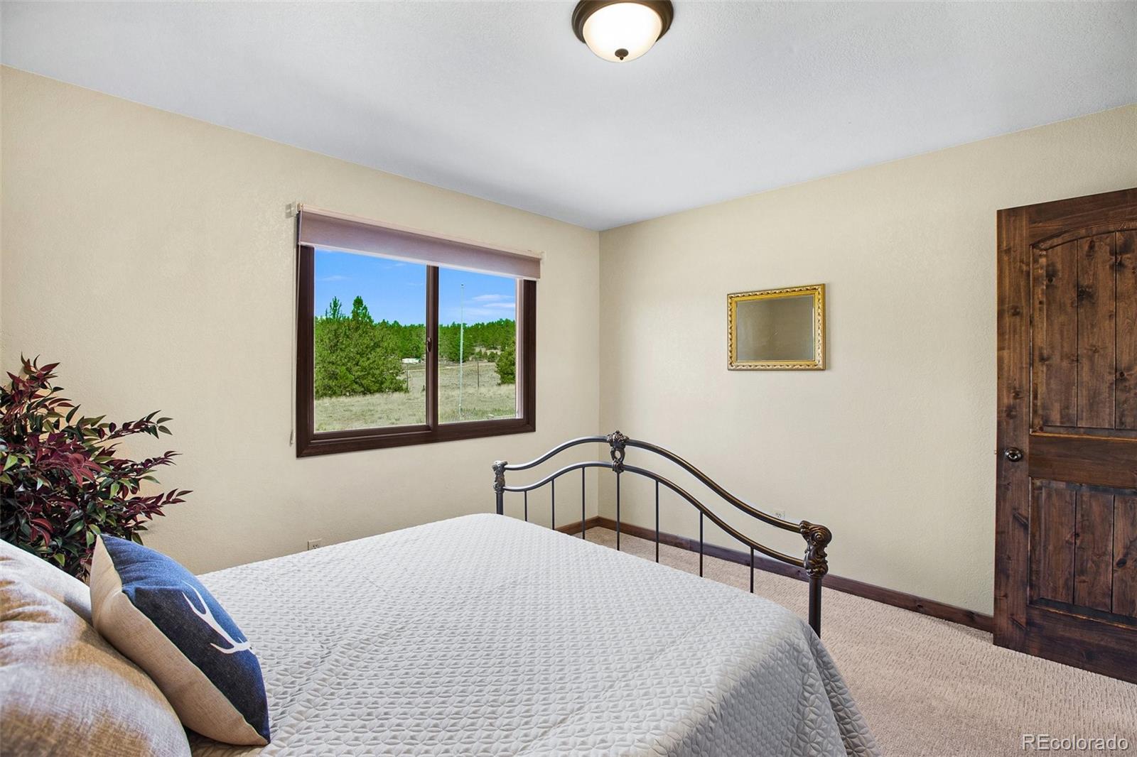 MLS Image #28 for 558 n deer mountain road,florissant, Colorado