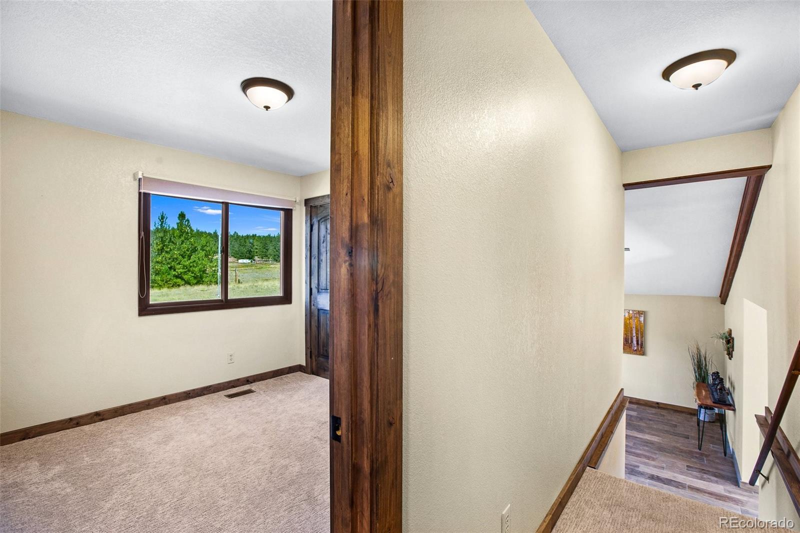 MLS Image #29 for 558 n deer mountain road,florissant, Colorado