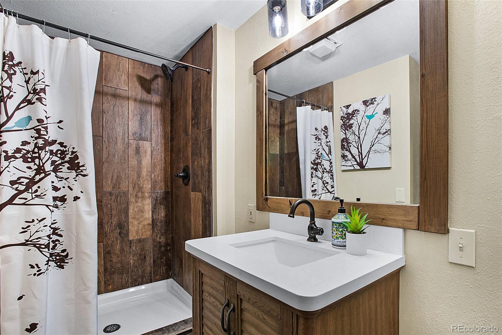 MLS Image #30 for 558 n deer mountain road,florissant, Colorado
