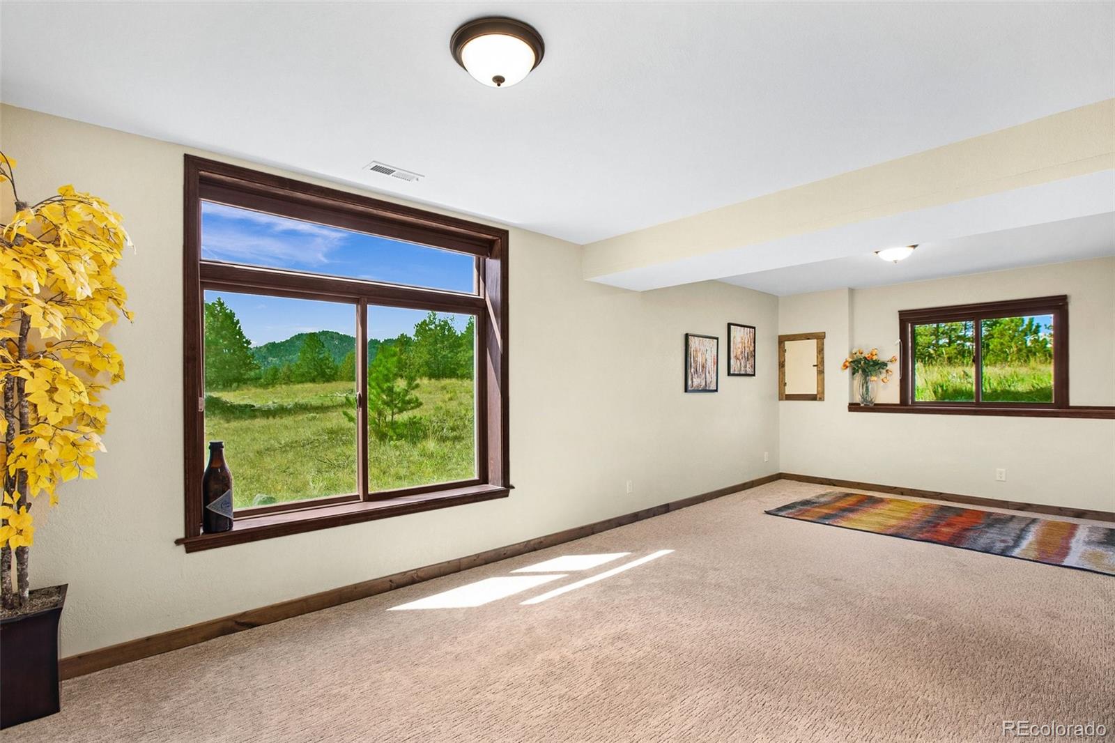 MLS Image #31 for 558 n deer mountain road,florissant, Colorado