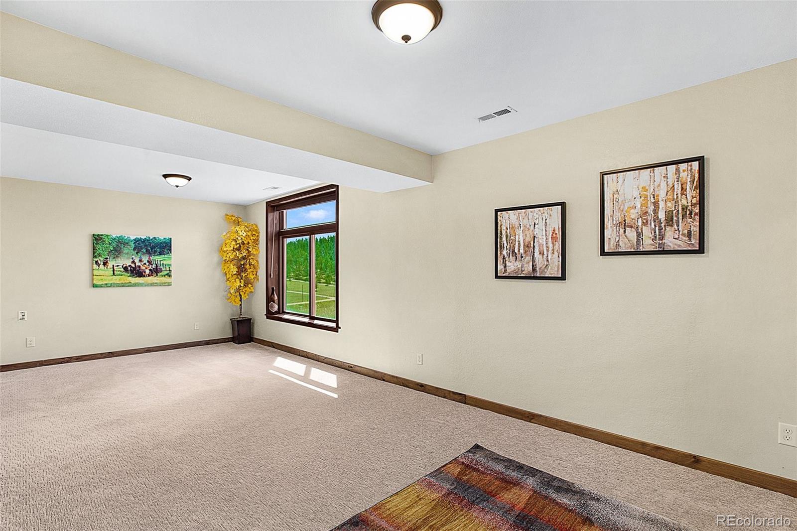 MLS Image #33 for 558 n deer mountain road,florissant, Colorado