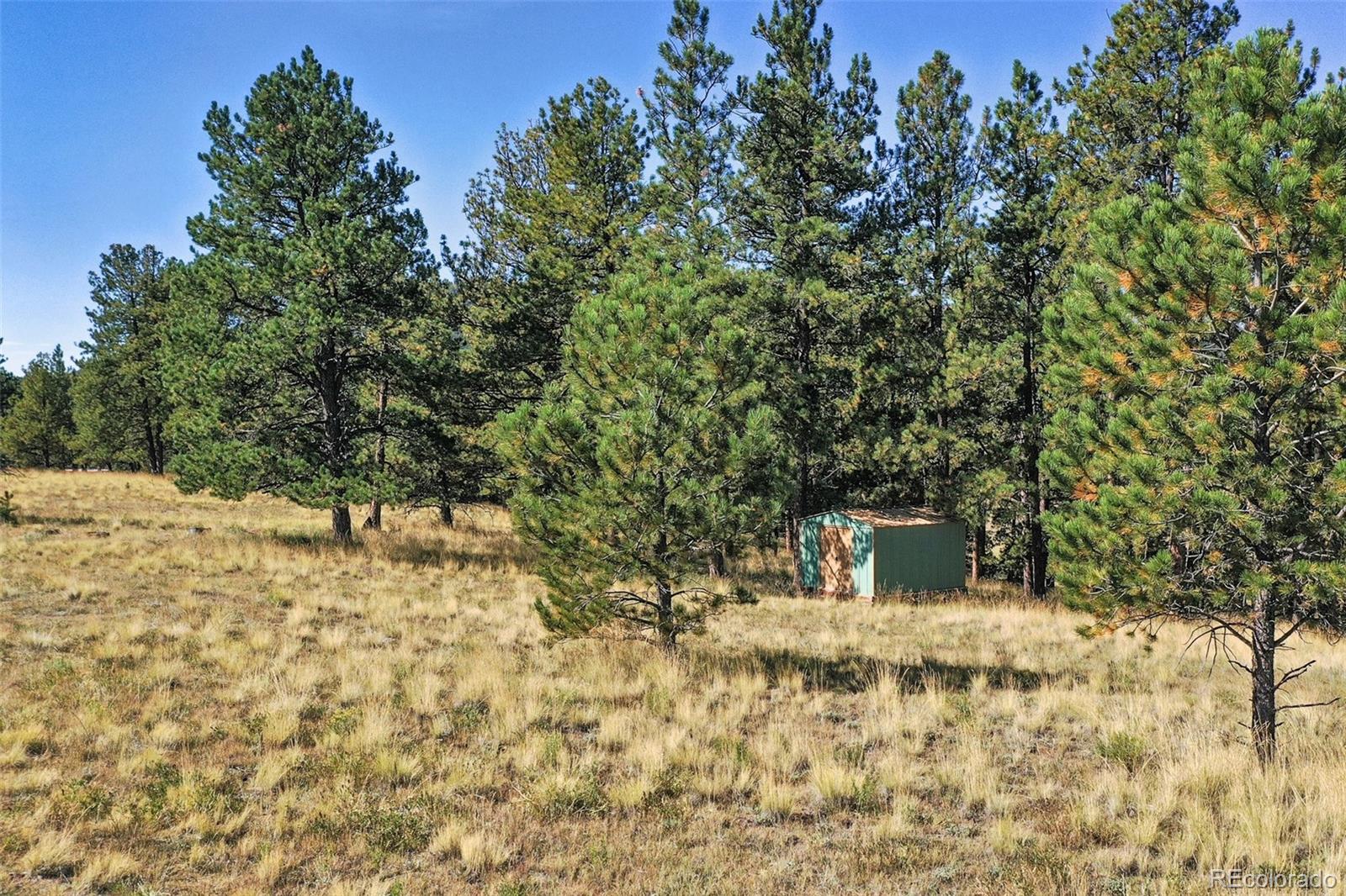 MLS Image #43 for 558 n deer mountain road,florissant, Colorado
