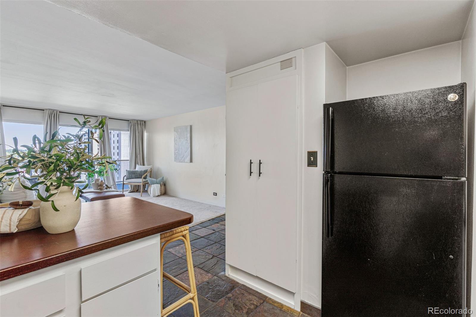 MLS Image #9 for 888 n logan street,denver, Colorado