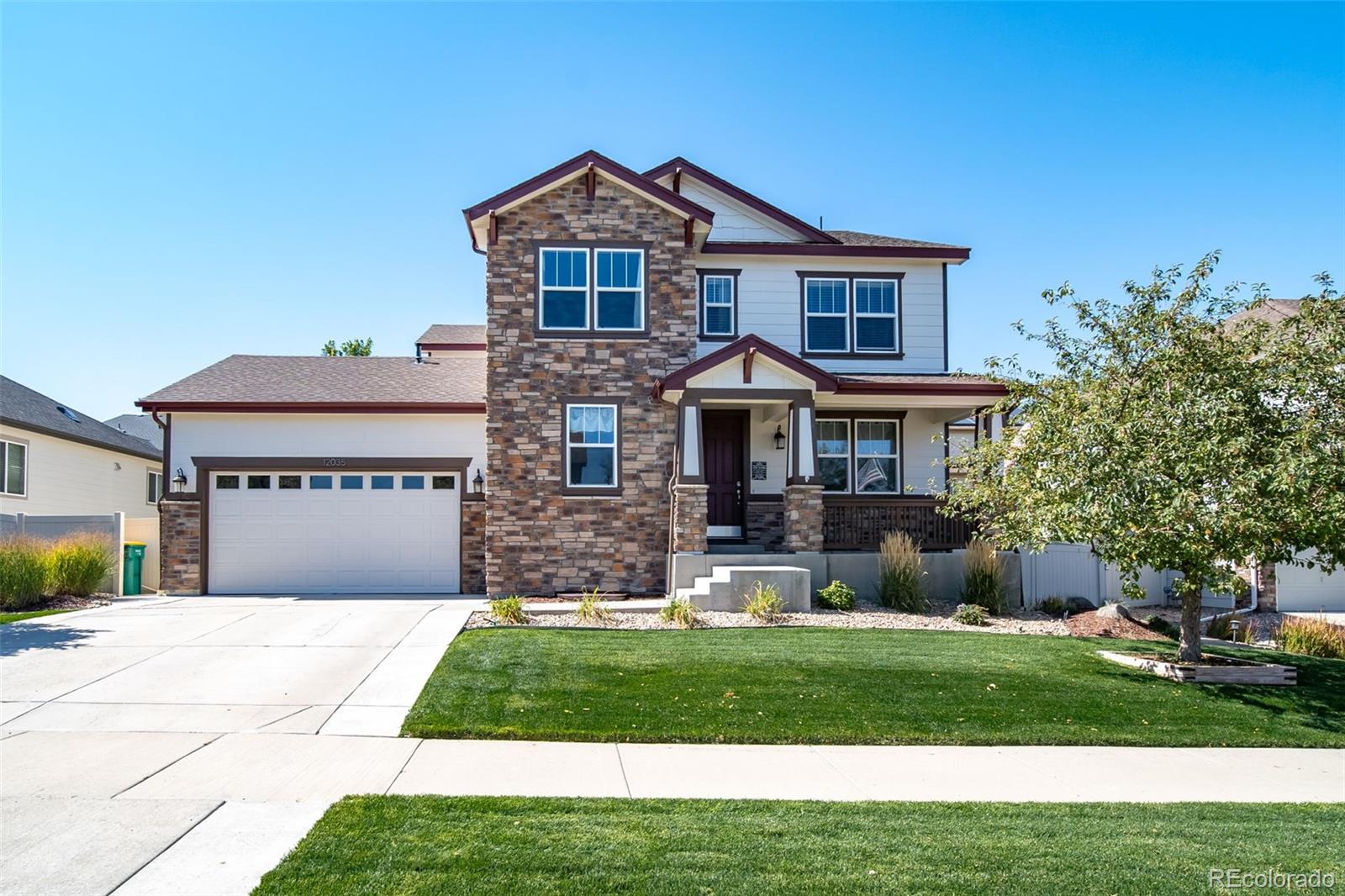 MLS Image #3 for 12035  fontberry street,parker, Colorado