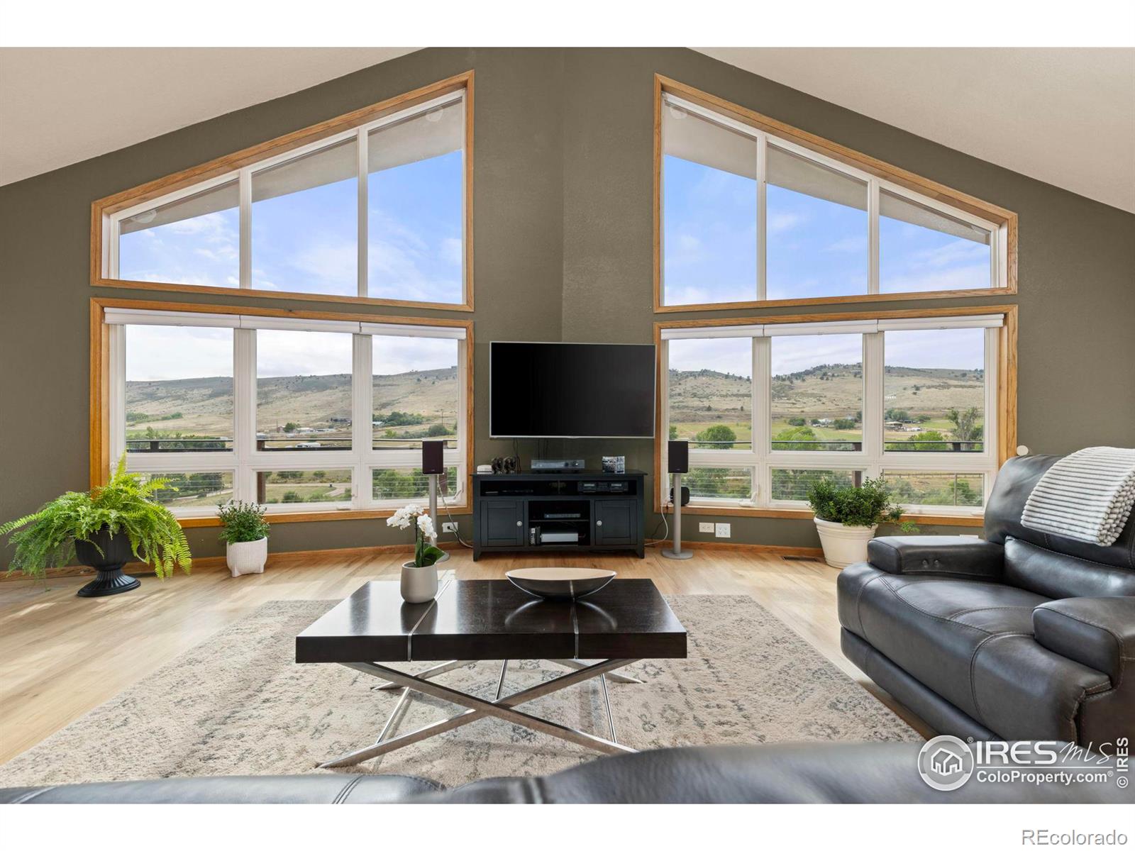 MLS Image #5 for 6586  abaco lane,berthoud, Colorado