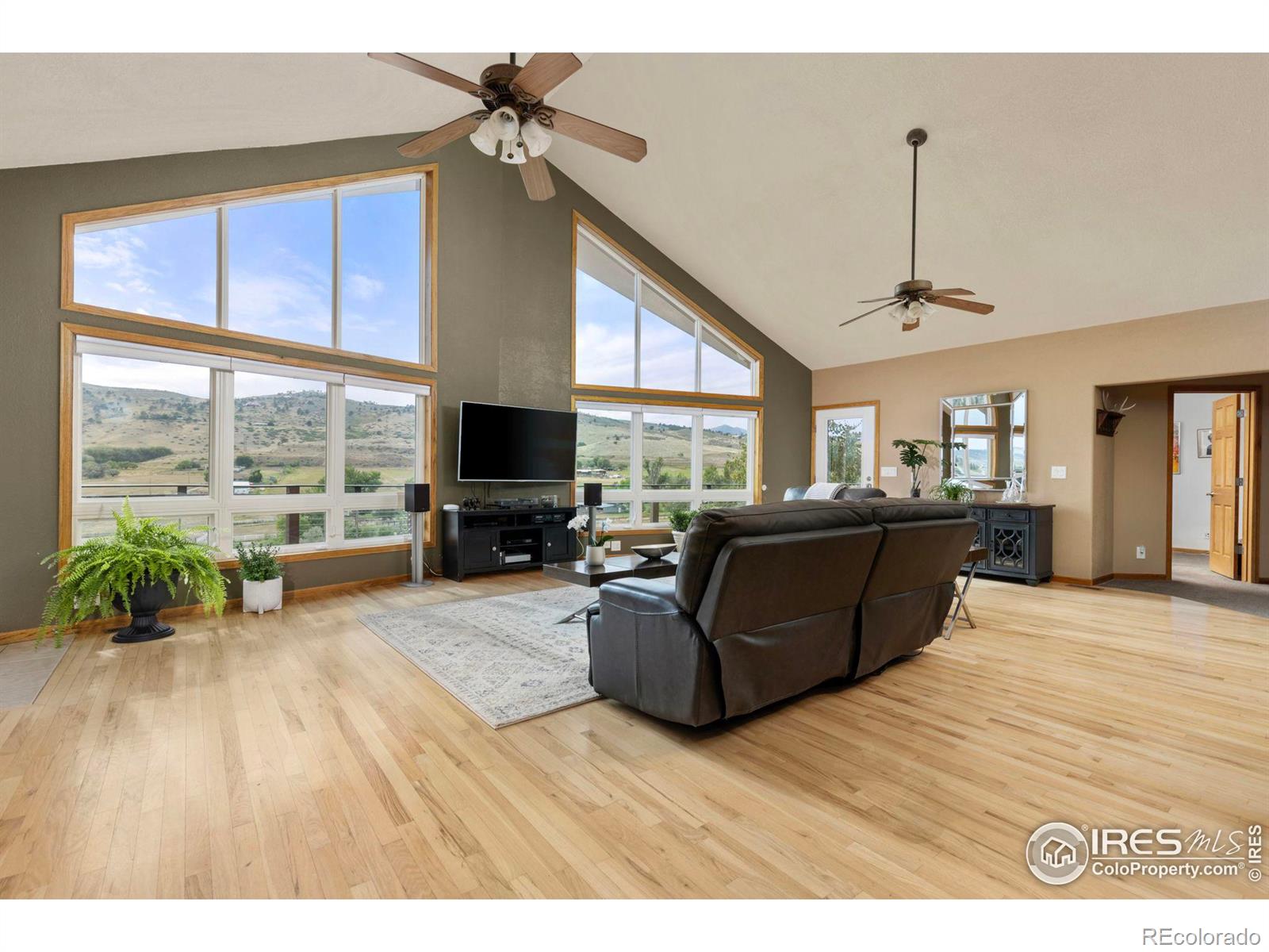 MLS Image #6 for 6586  abaco lane,berthoud, Colorado