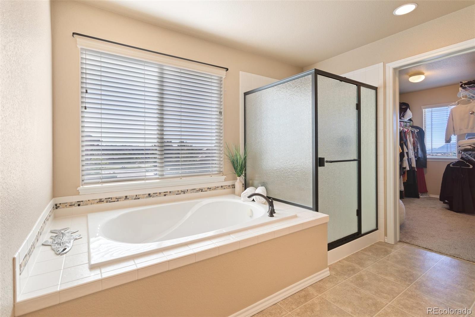 MLS Image #25 for 2420  baystone court,colorado springs, Colorado