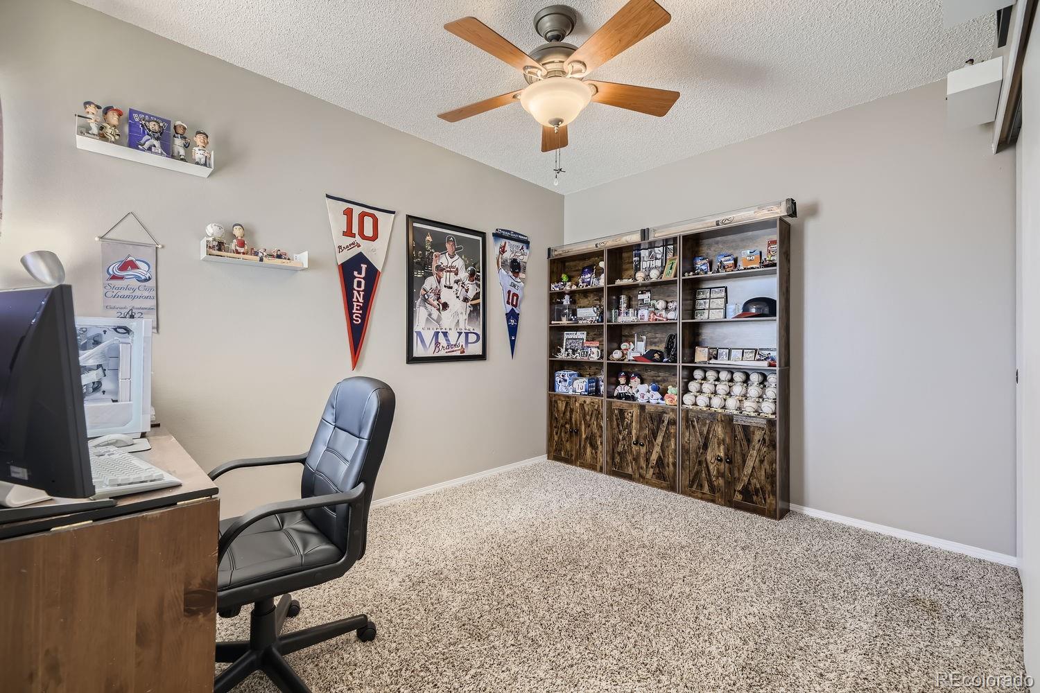 MLS Image #9 for 591  james street,highlands ranch, Colorado