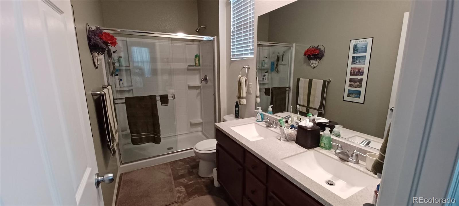 MLS Image #15 for 918  birchdale ,windsor, Colorado