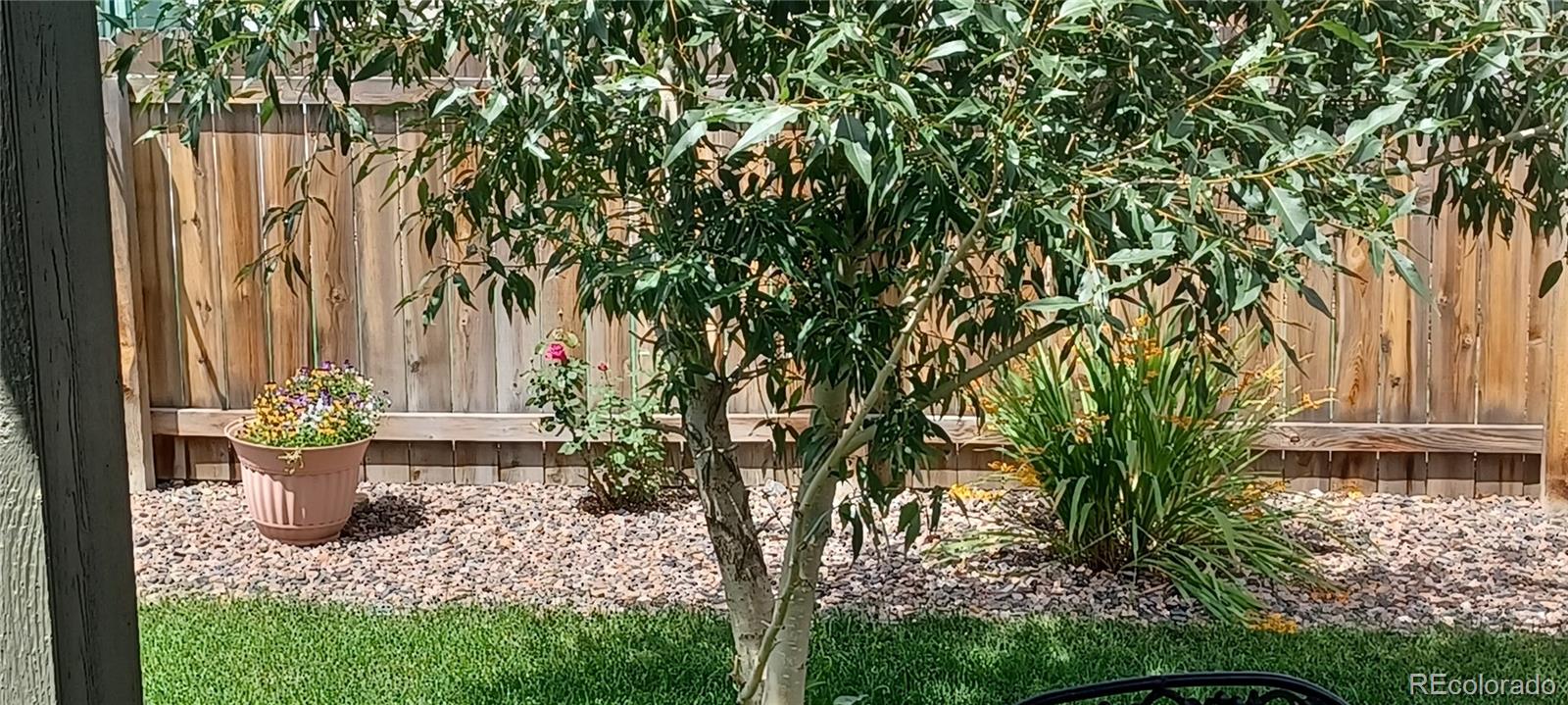 MLS Image #19 for 918  birchdale ,windsor, Colorado