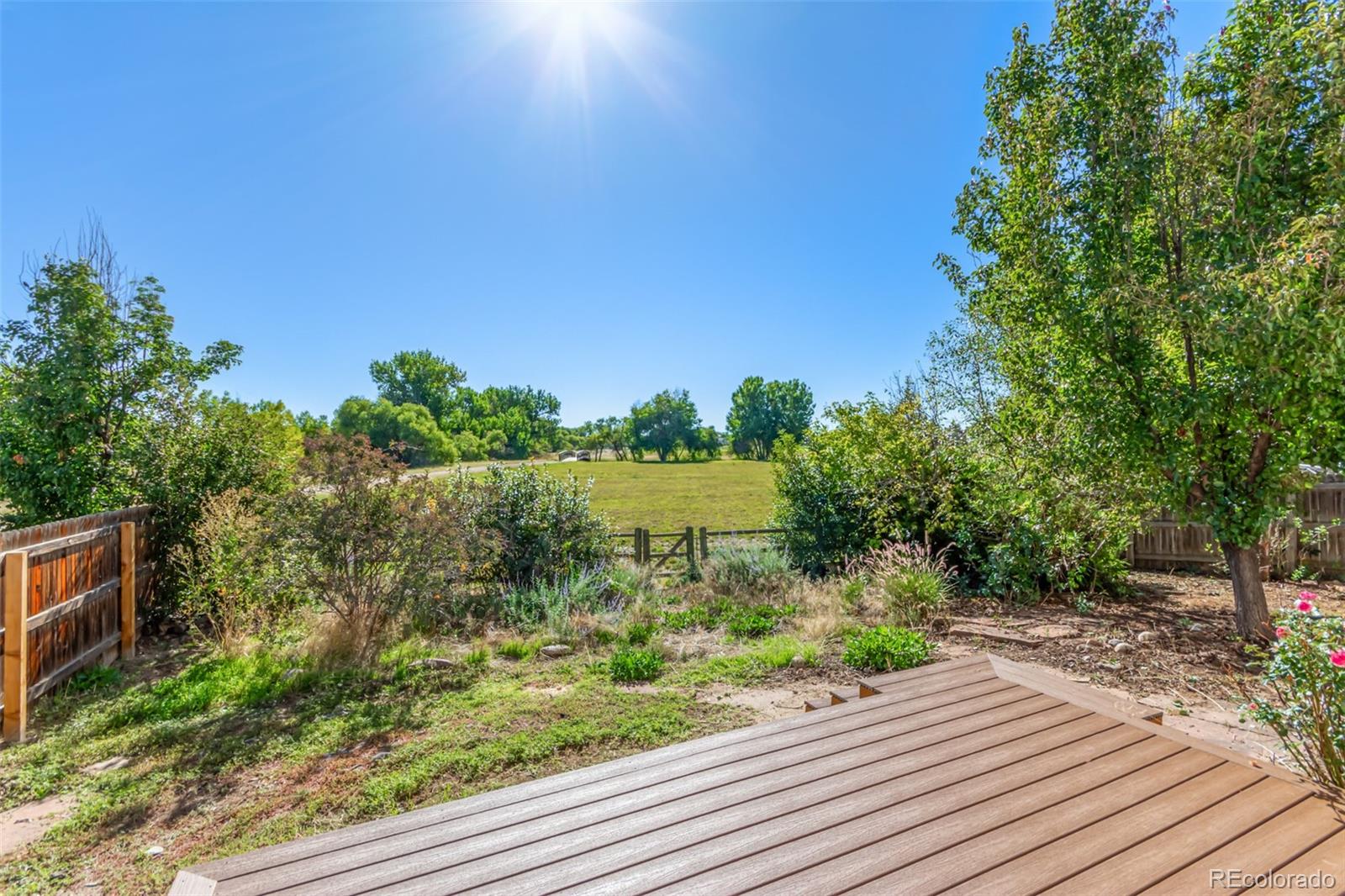 MLS Image #36 for 16895  blue mist circle,parker, Colorado