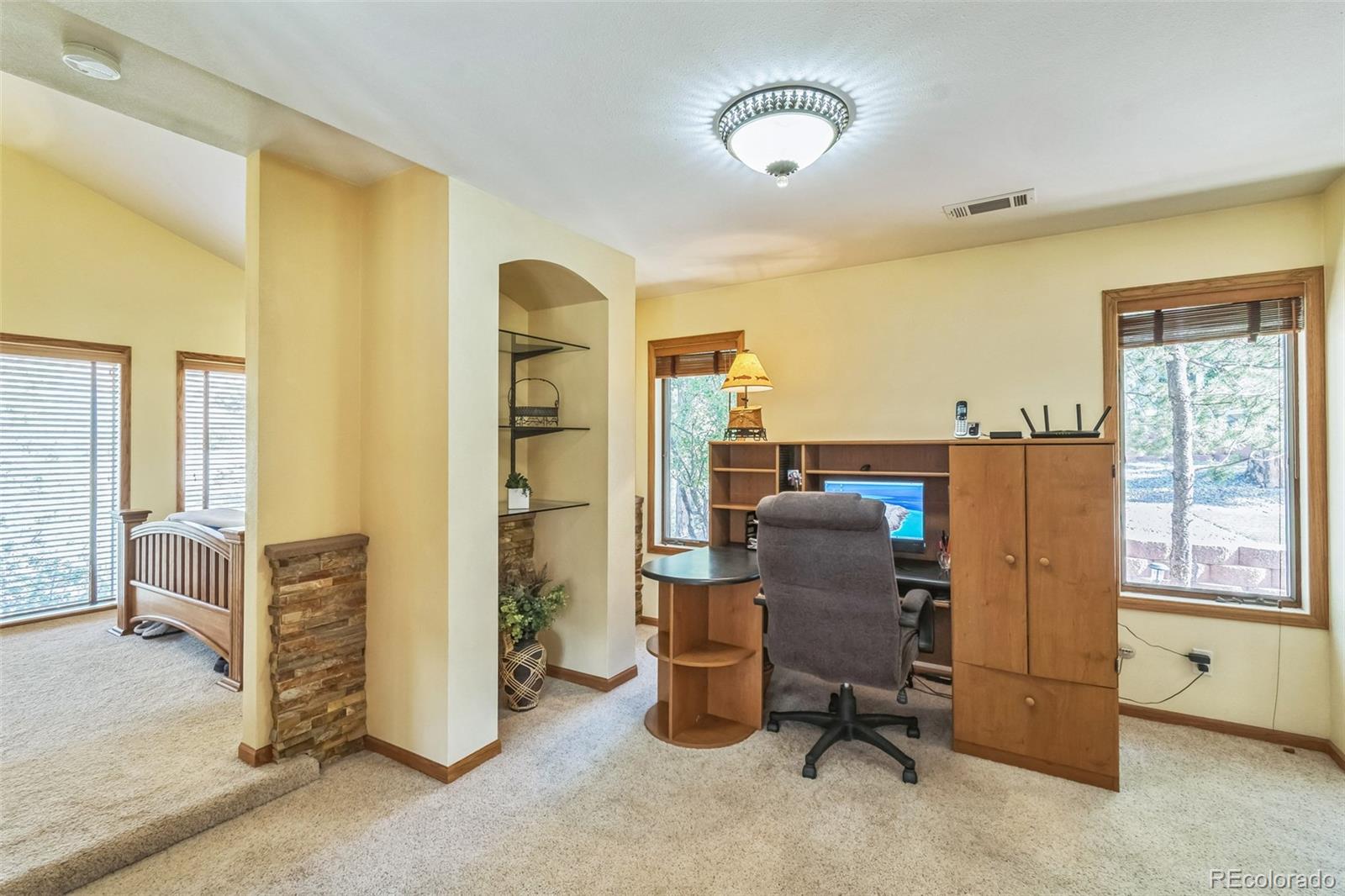 MLS Image #19 for 30277  weisshorn circle,pine, Colorado