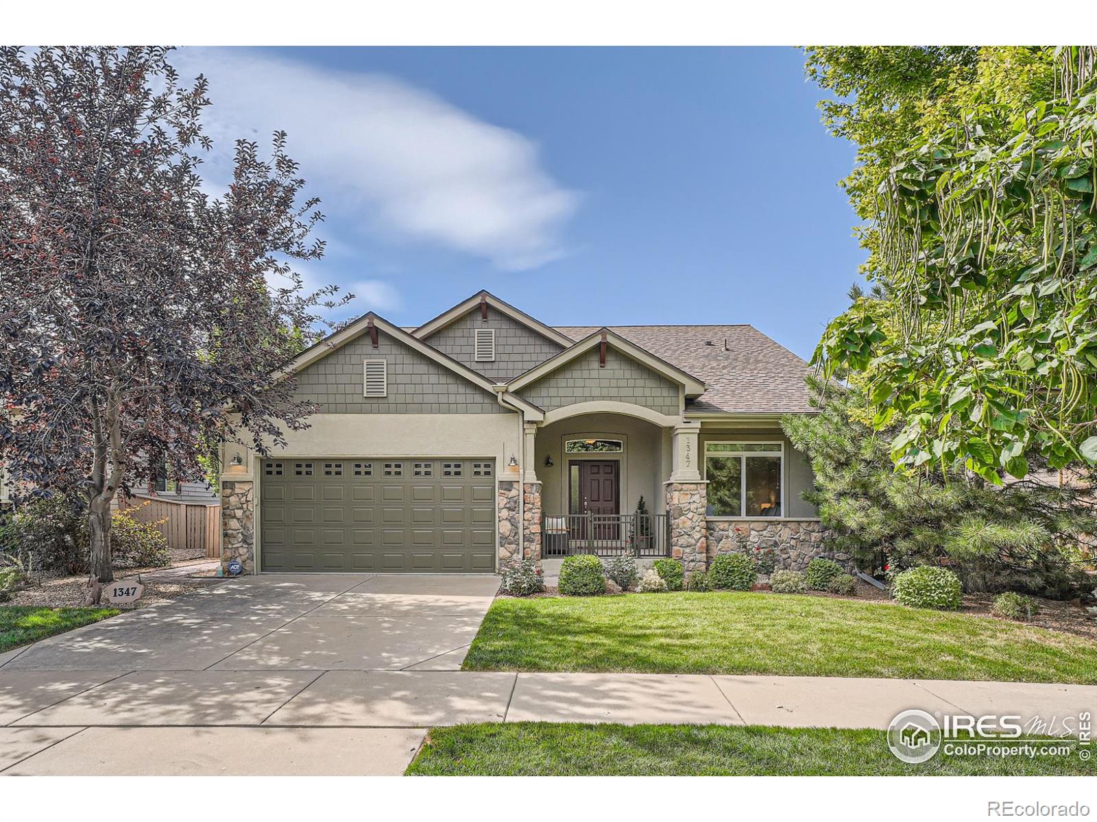 MLS Image #0 for 1347  15th avenue,longmont, Colorado