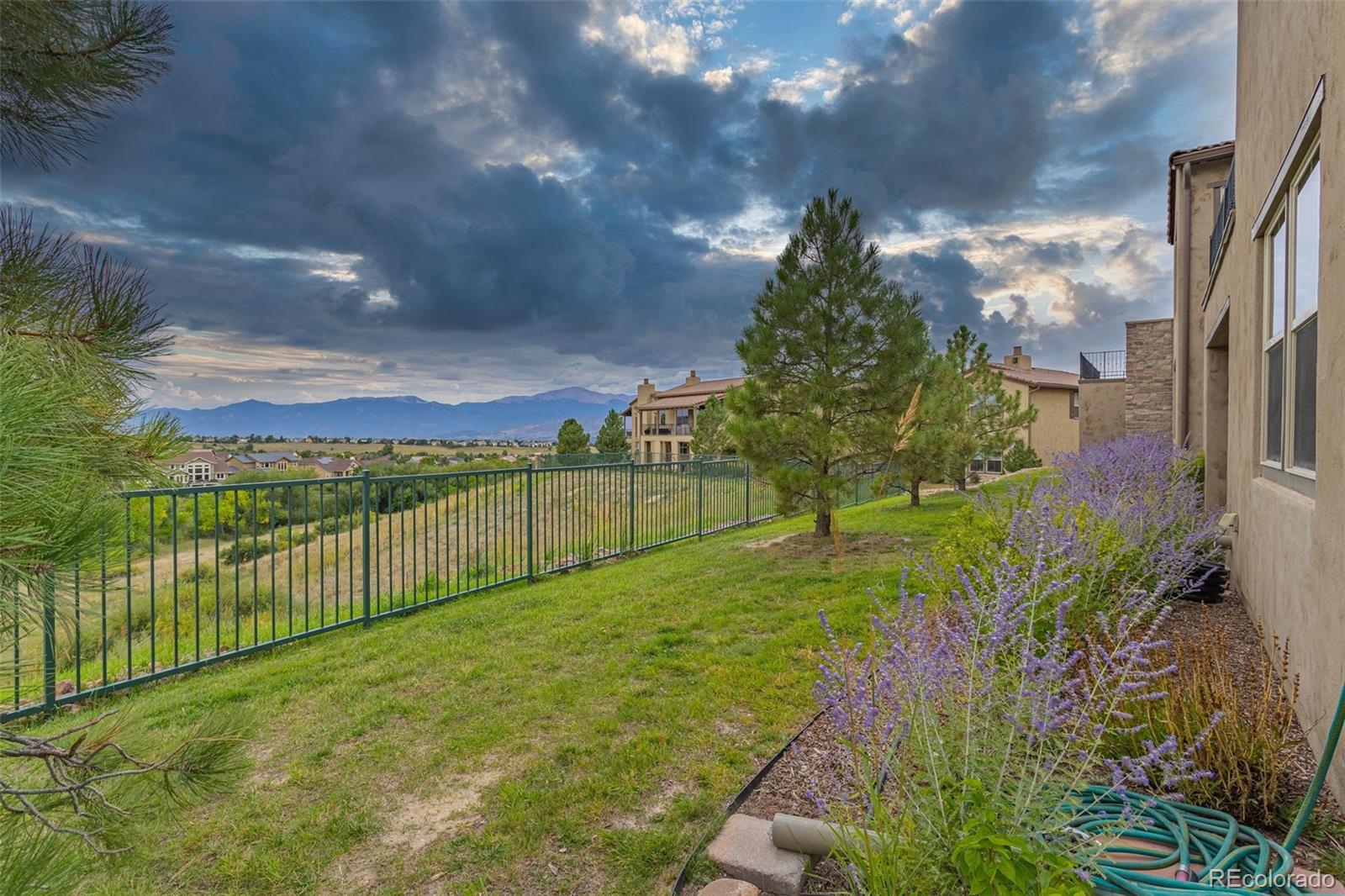 MLS Image #36 for 3725  palazzo grove,colorado springs, Colorado