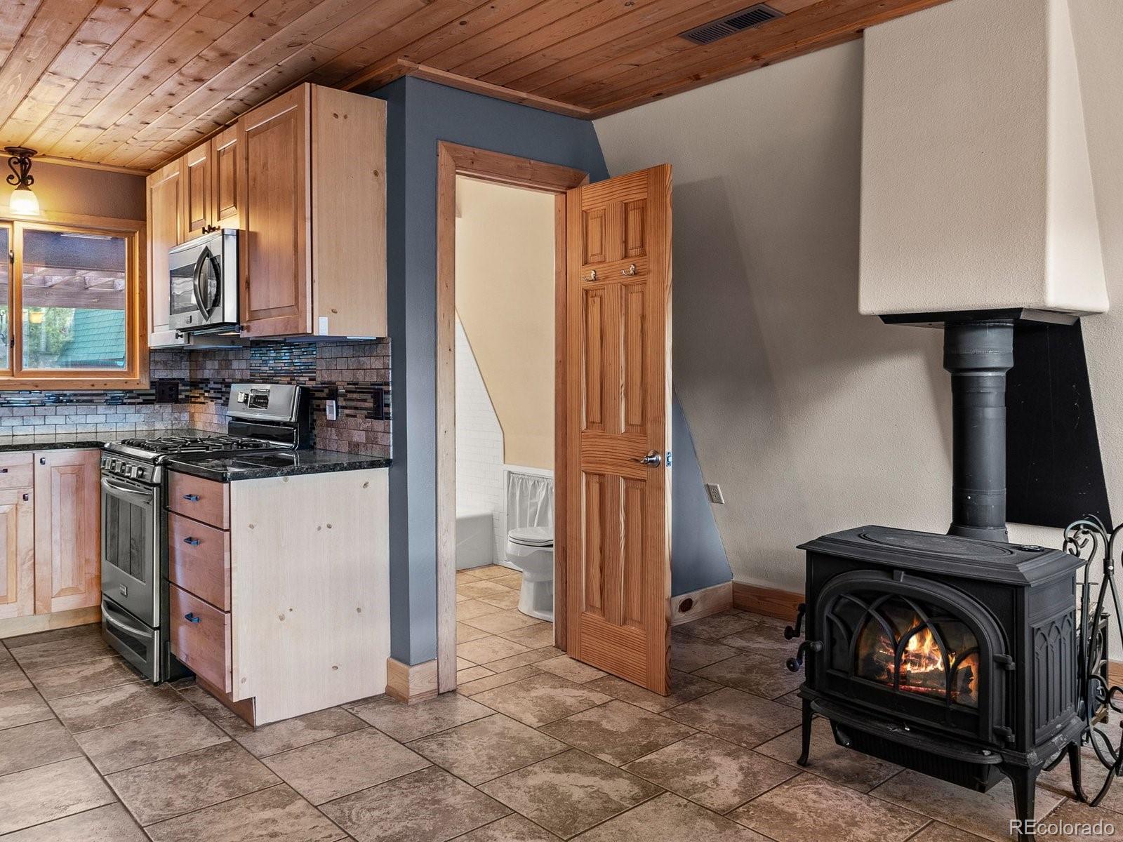 MLS Image #8 for 367  g road,silverthorne, Colorado