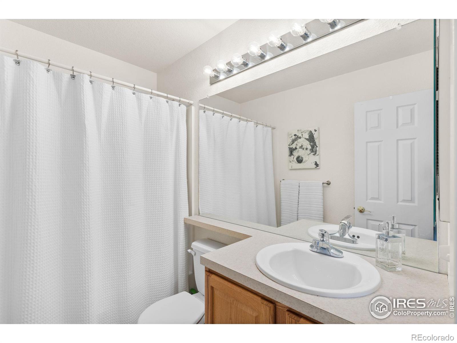 MLS Image #16 for 5075  ladies tresses place ,broomfield, Colorado