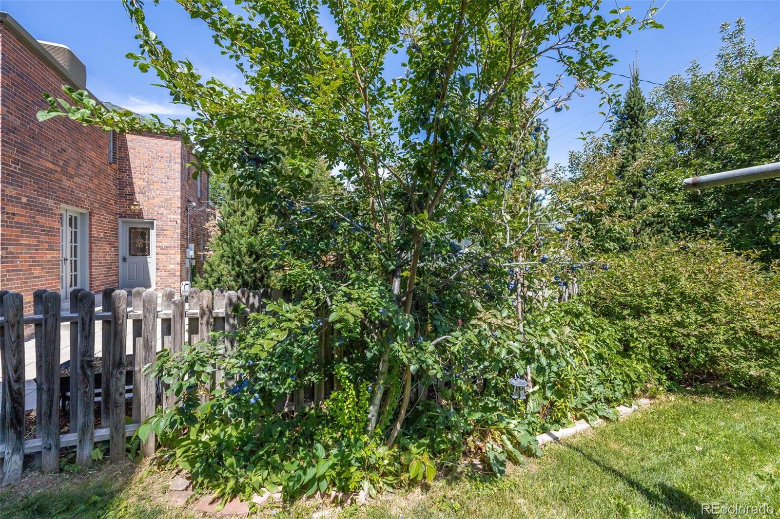 MLS Image #31 for 2340  jasmine street,denver, Colorado