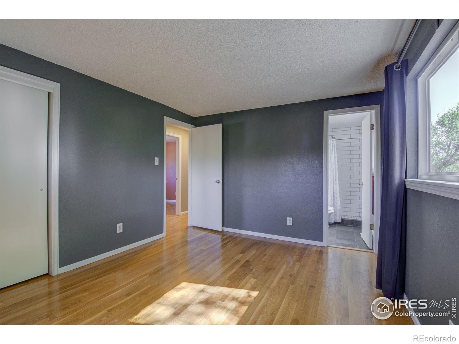 MLS Image #19 for 1219  lefthand drive,longmont, Colorado