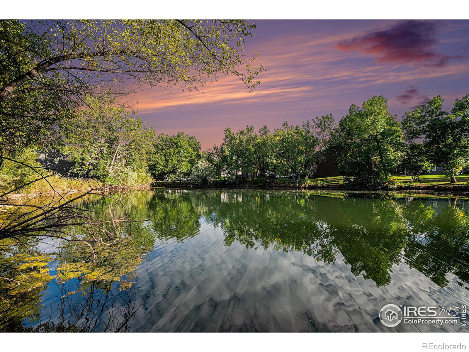 MLS Image #12 for 1225 w prospect road,fort collins, Colorado