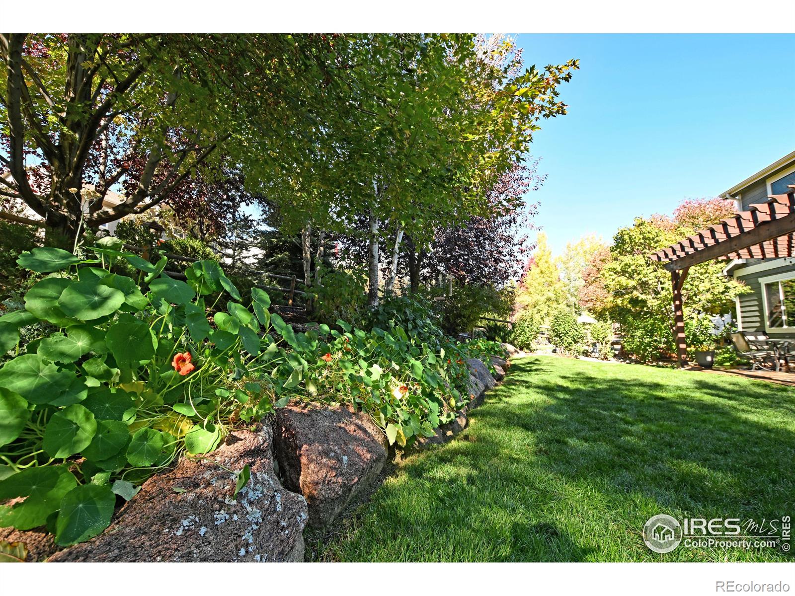 MLS Image #28 for 1752  clear creek court,windsor, Colorado