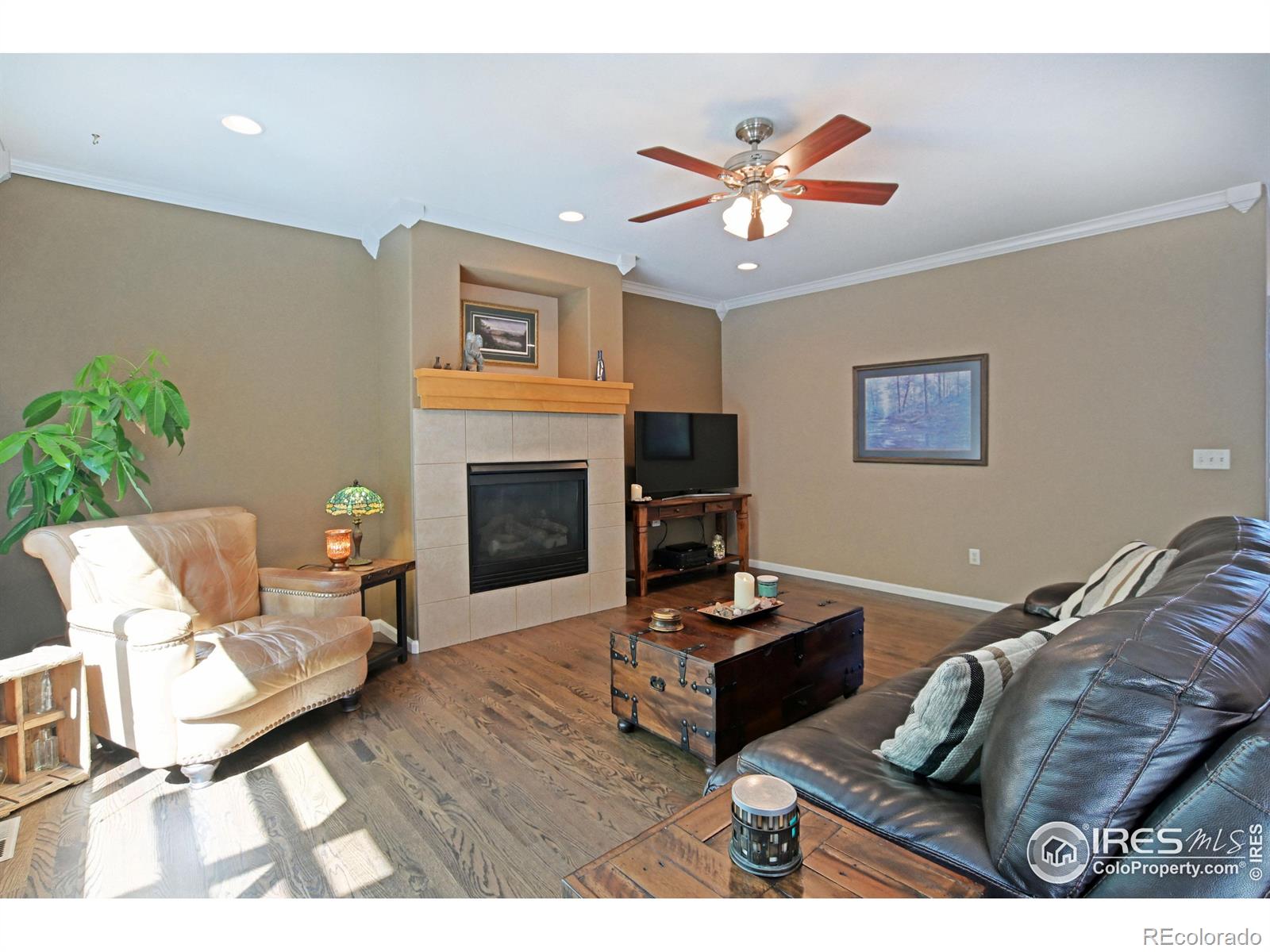 MLS Image #5 for 1752  clear creek court,windsor, Colorado