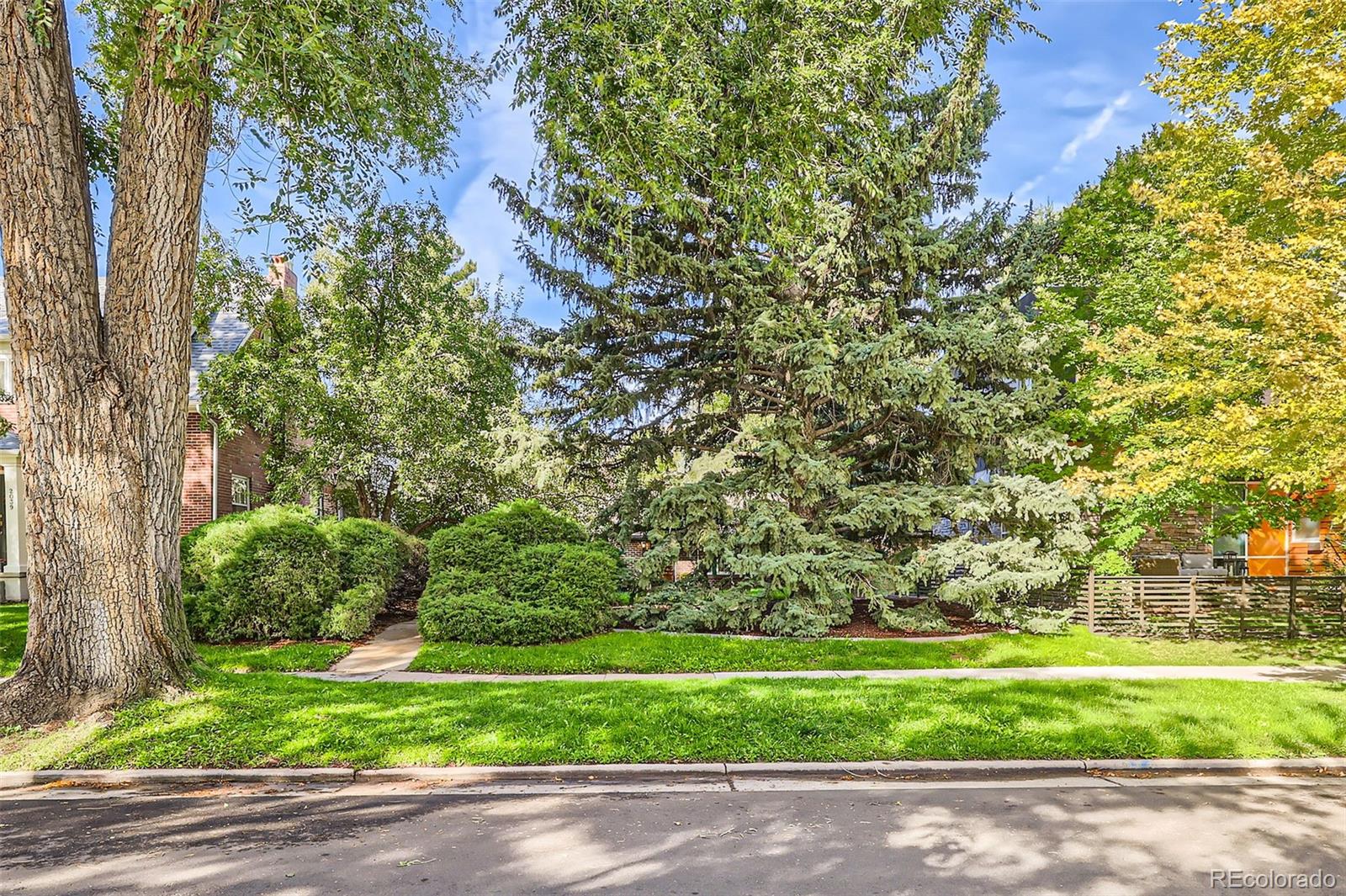 MLS Image #2 for 2043 n forest street,denver, Colorado