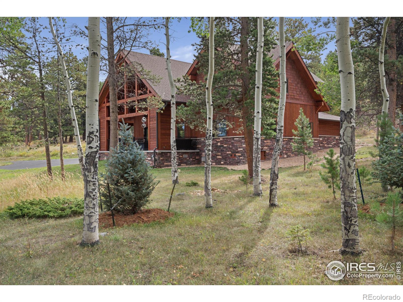 MLS Image #30 for 3303  nimbus drive,estes park, Colorado