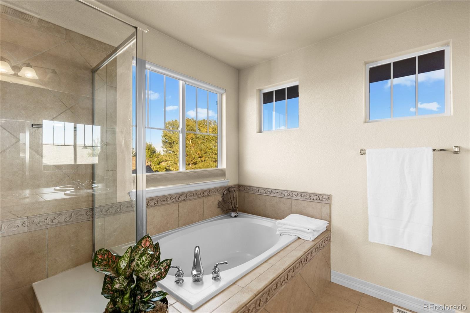 MLS Image #24 for 7531  pyrite way,castle rock, Colorado