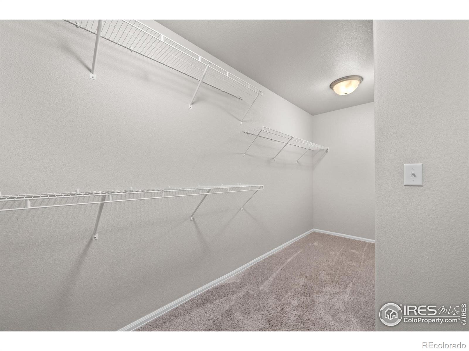 MLS Image #19 for 2033  moon rise drive,windsor, Colorado