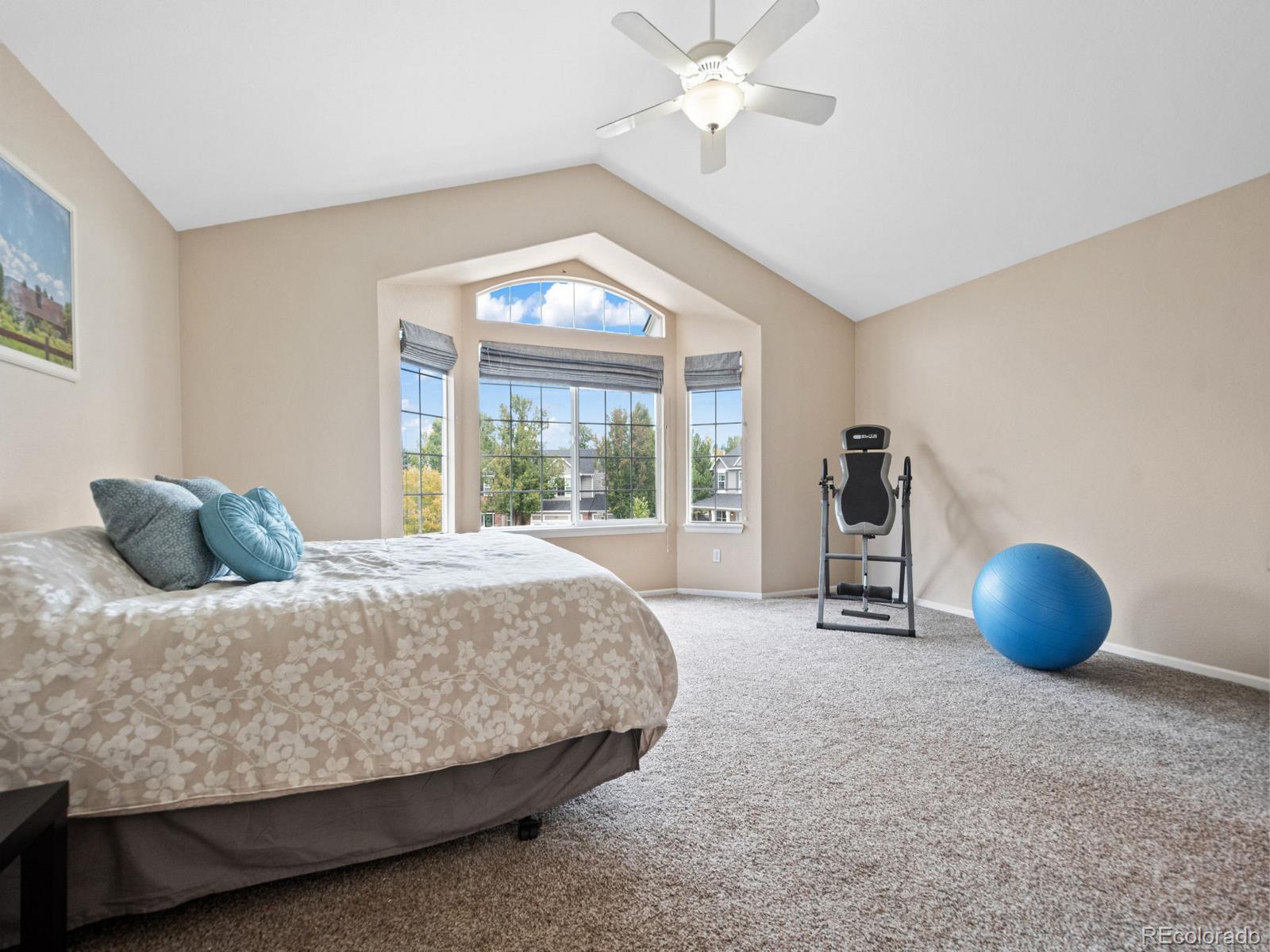 MLS Image #23 for 2932 e hackberry court,highlands ranch, Colorado