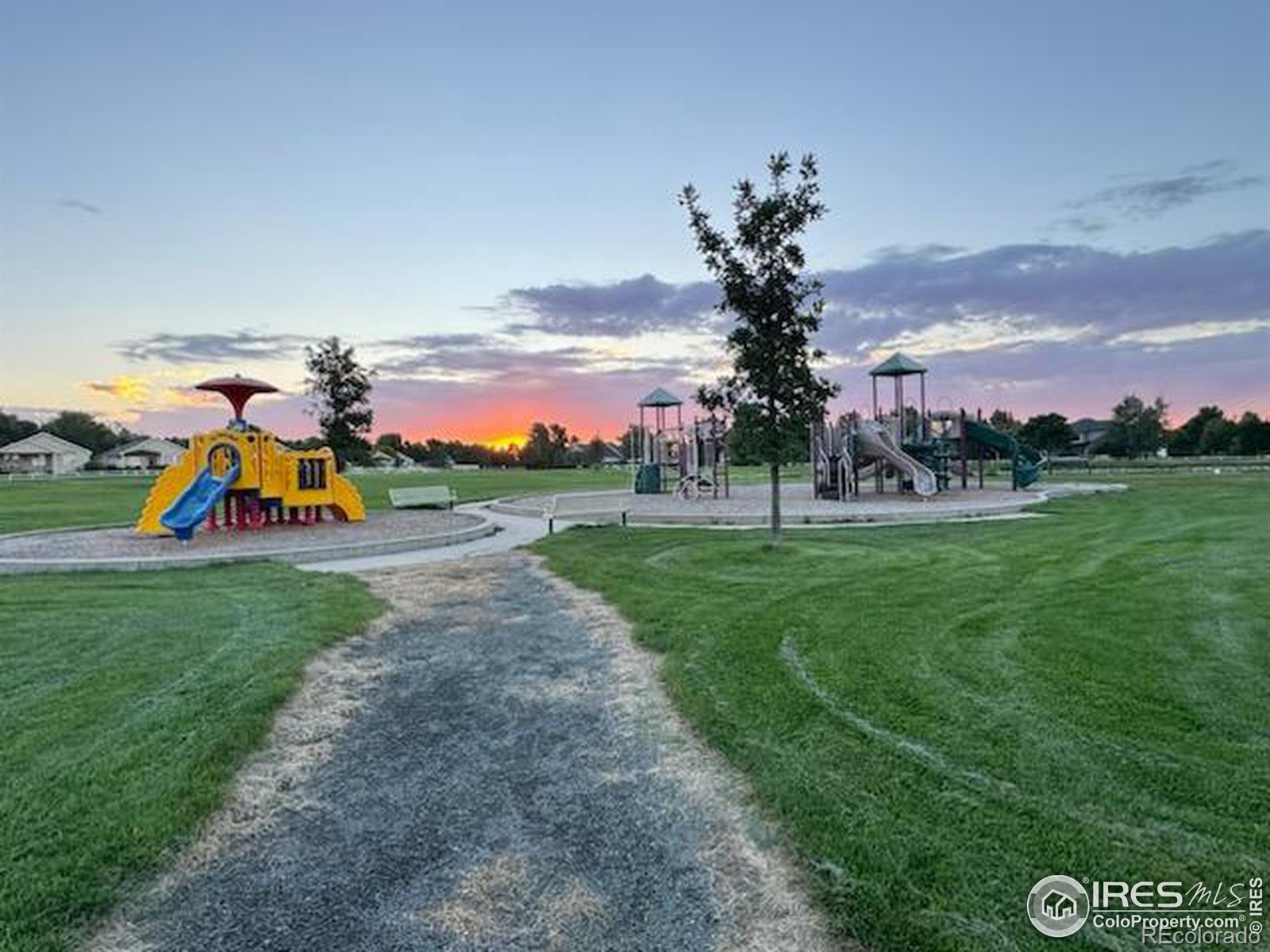 MLS Image #36 for 525  red tail court,eaton, Colorado