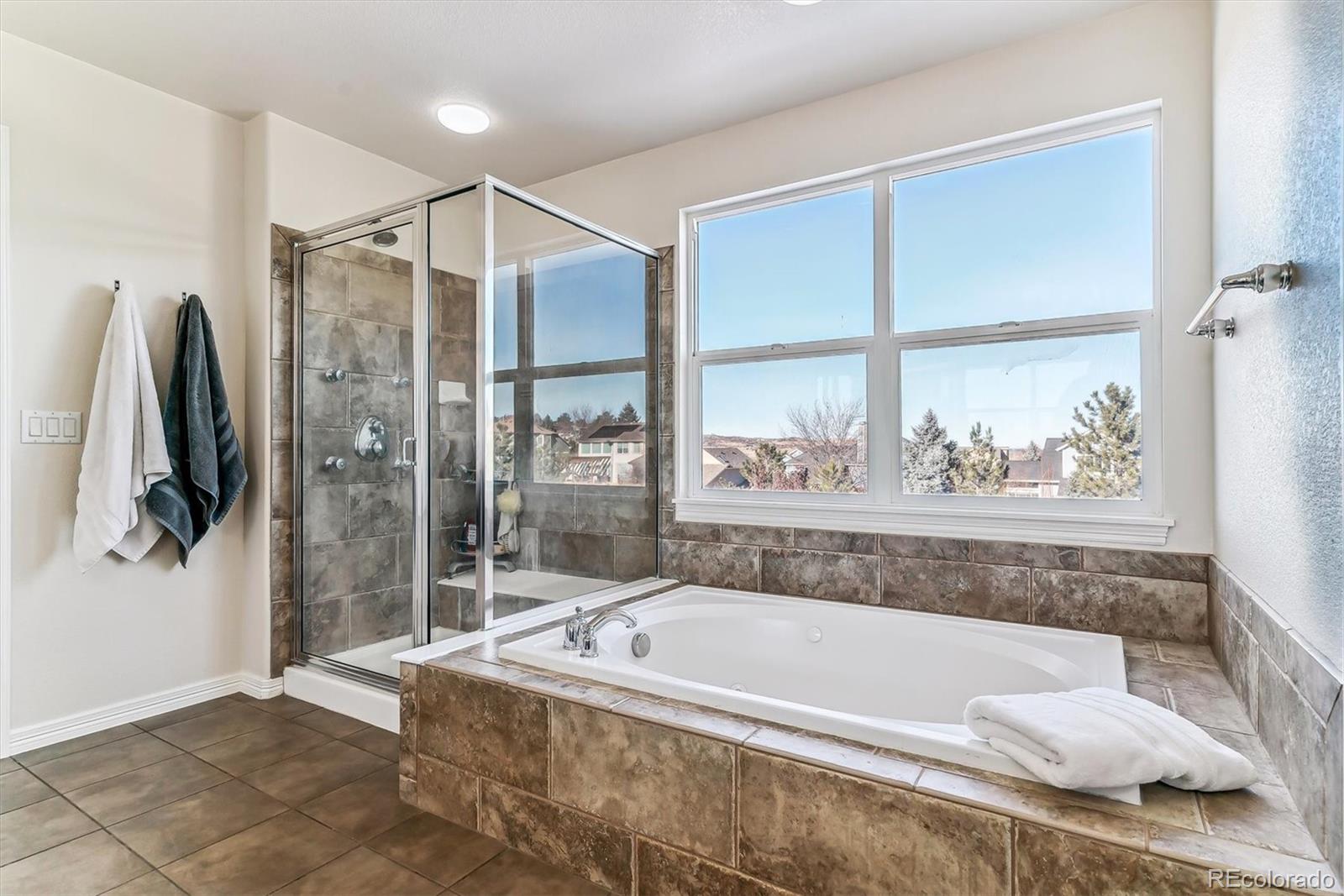 MLS Image #14 for 325  crosshaven place,castle rock, Colorado