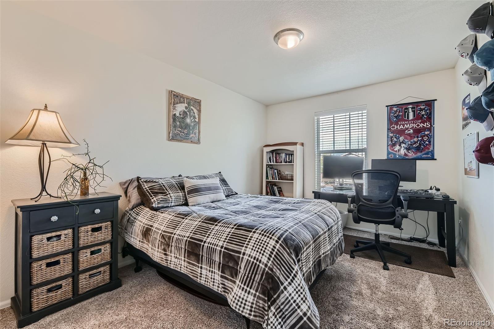 MLS Image #22 for 2662 e 161st place,thornton, Colorado