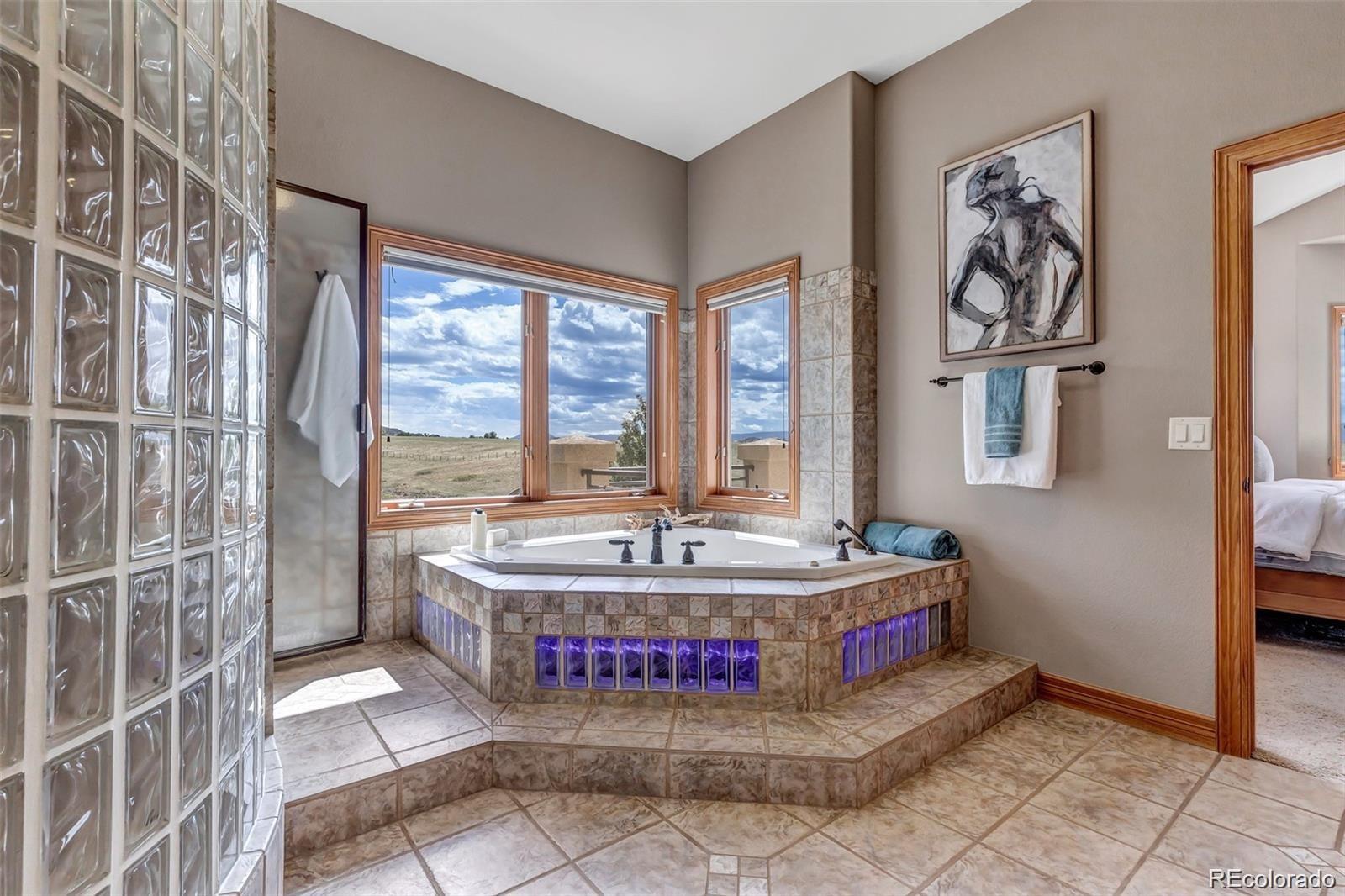 MLS Image #19 for 1440  voorhees ranch way,castle rock, Colorado