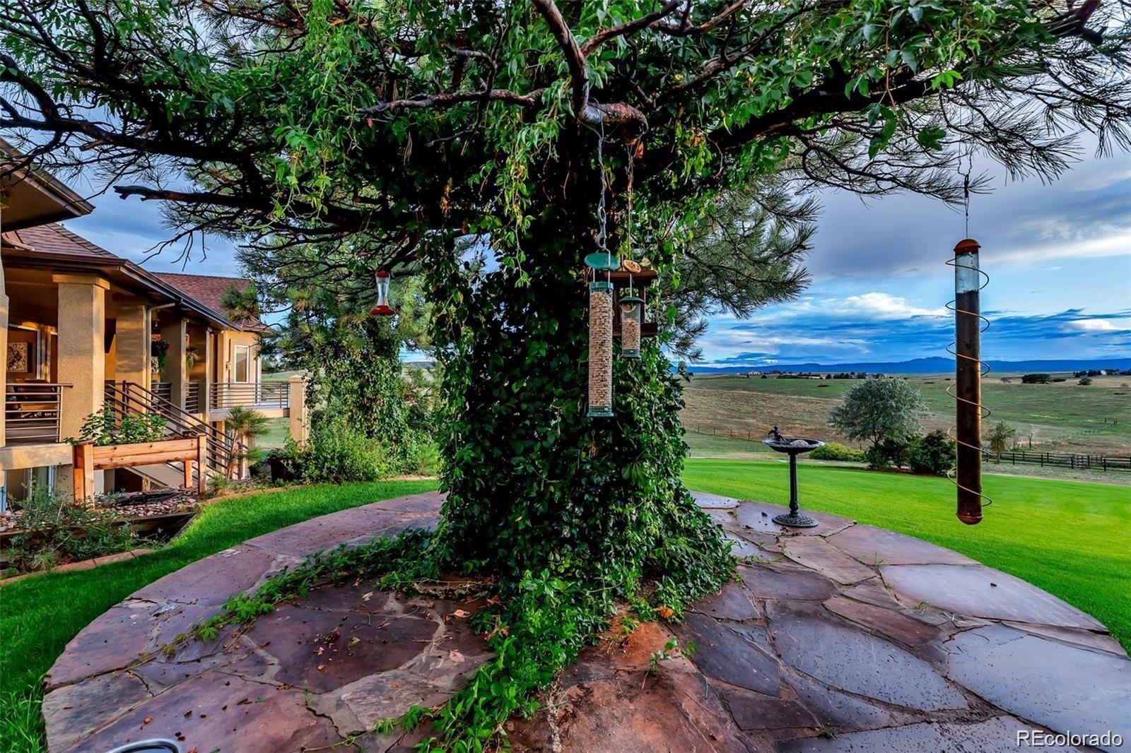 MLS Image #33 for 1440  voorhees ranch way,castle rock, Colorado